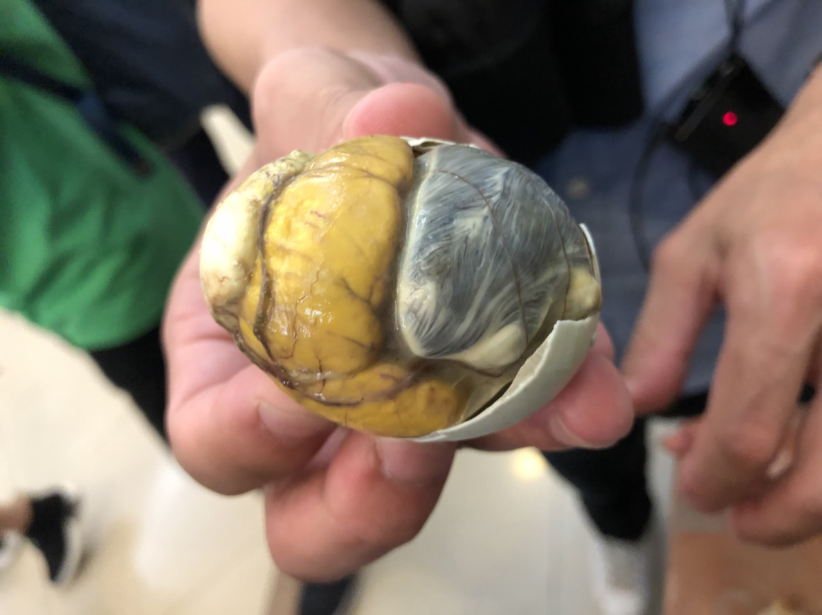 15天的「雞仔蛋」，週日在中山北路上找得到，有好幾攤在販賣。