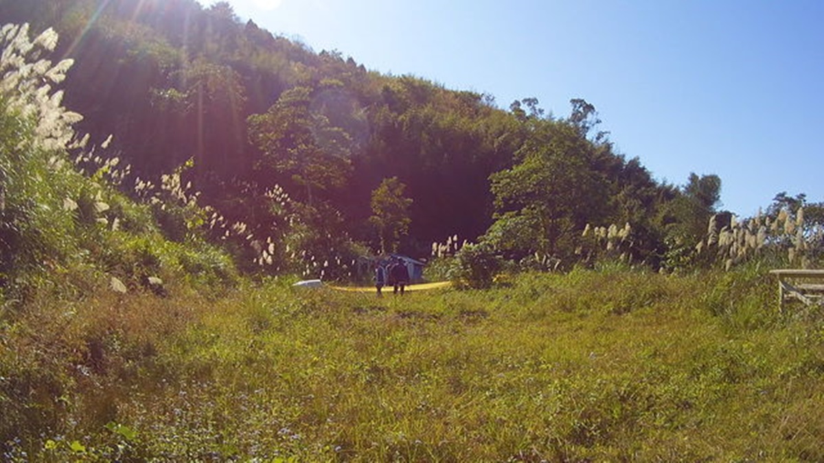 羅男陳屍處附近有多處被山豬挖出來的坑洞，警方初步認為死因與山豬有關。（翻攝畫面）