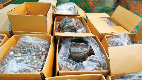 榮儲員工多次走私香菇、牛肉等違禁品，海關都輕輕放過。