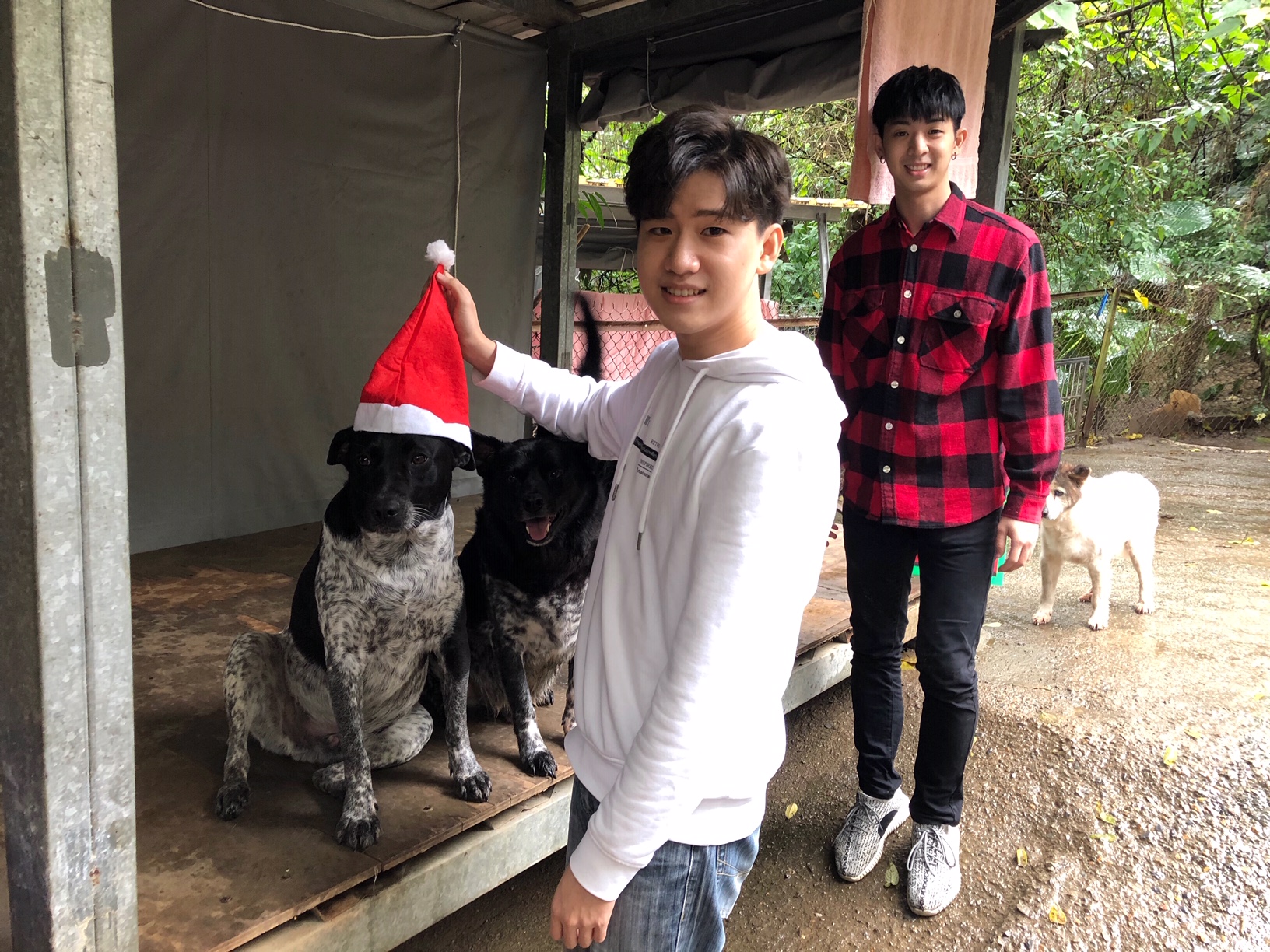 同門師兄弟林亭翰和周書彥趁著聖誕節前往流浪動物之家當志工，透露自己也是狗奴一族。（青田音樂提供）