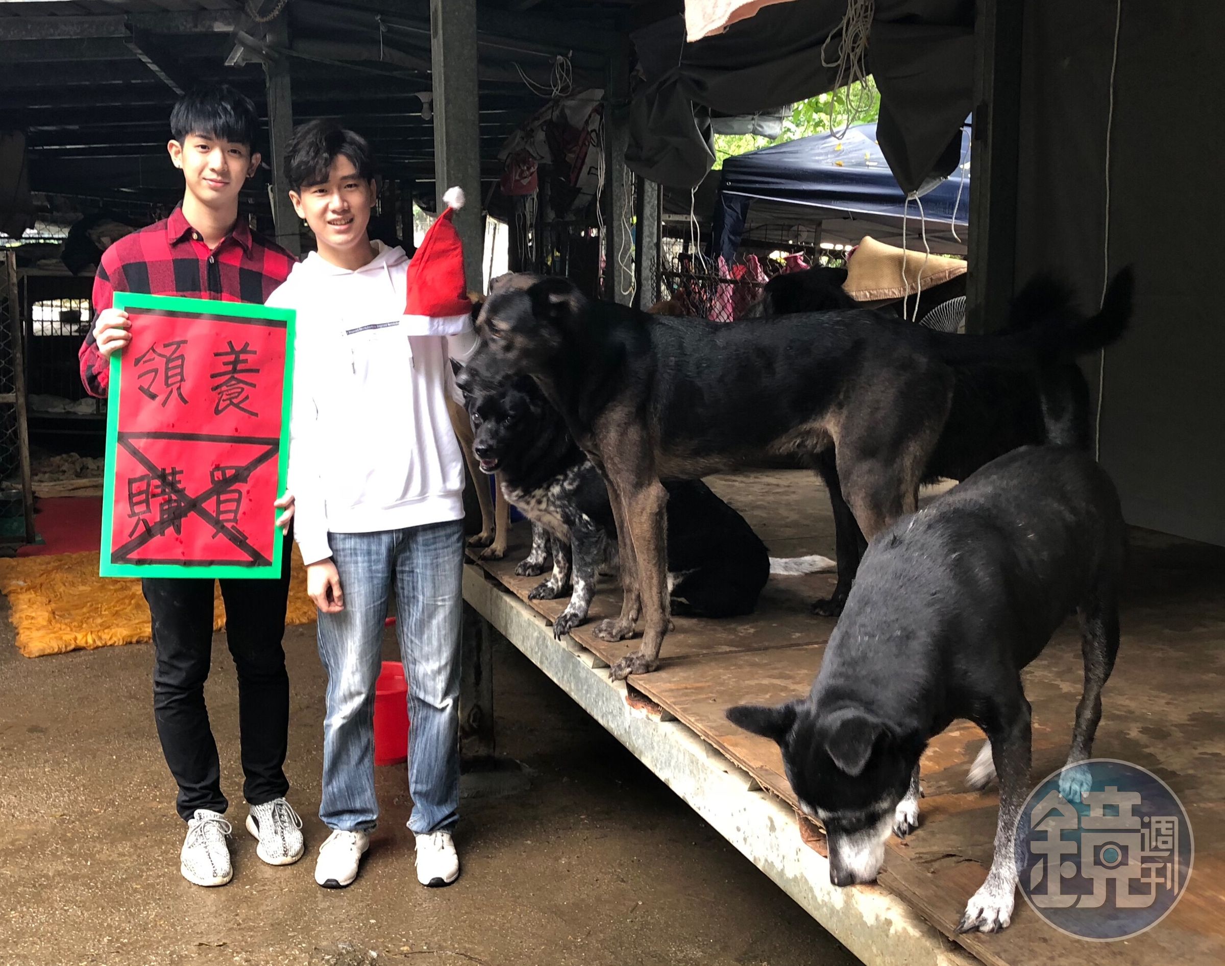 林亭翰、周書彥同門師兄弟趁著聖誕節前往流浪動物之家當志工，自己也是狗奴一族。（青田音樂提供）