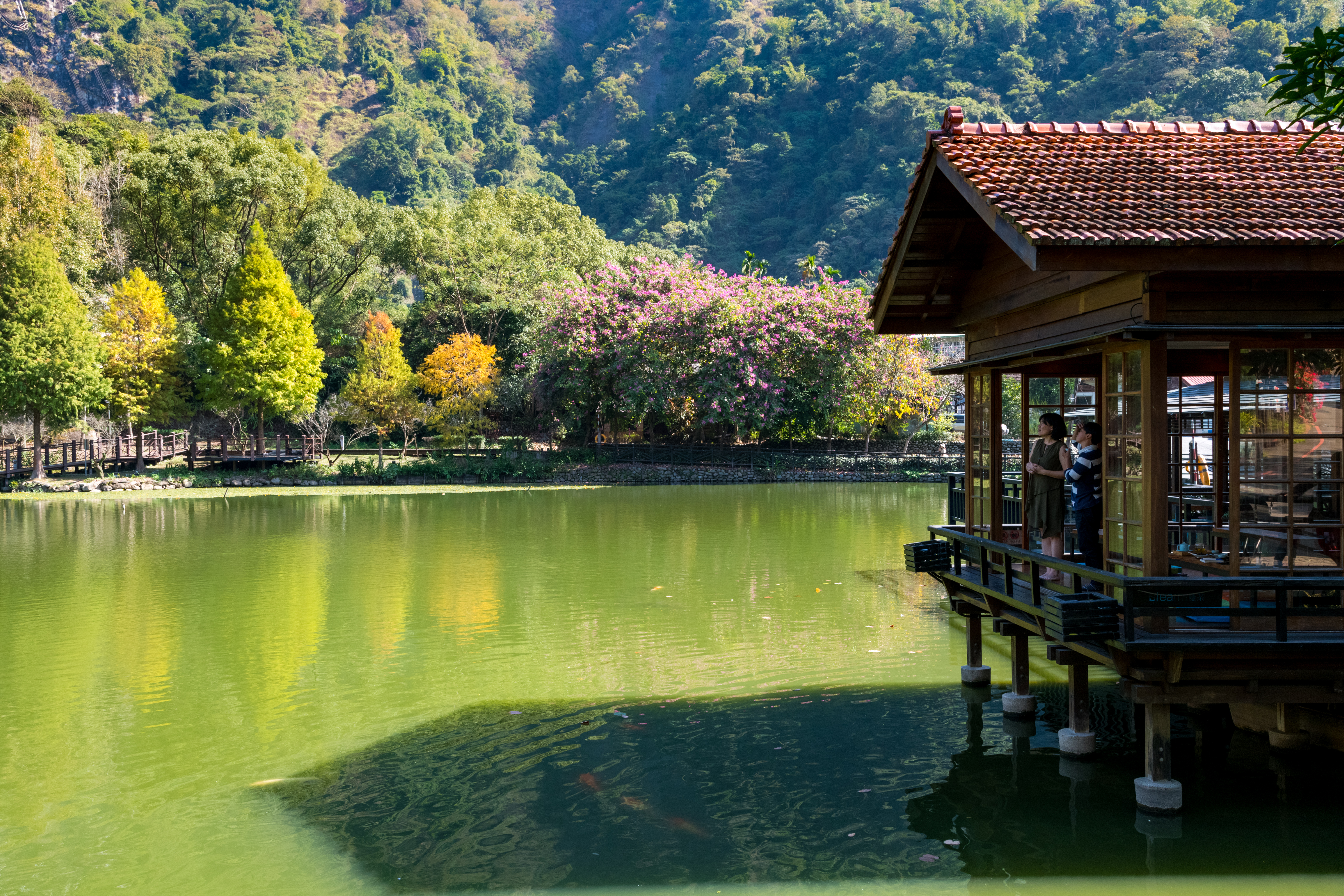 恬靜自然的風格，成為網紅景觀。