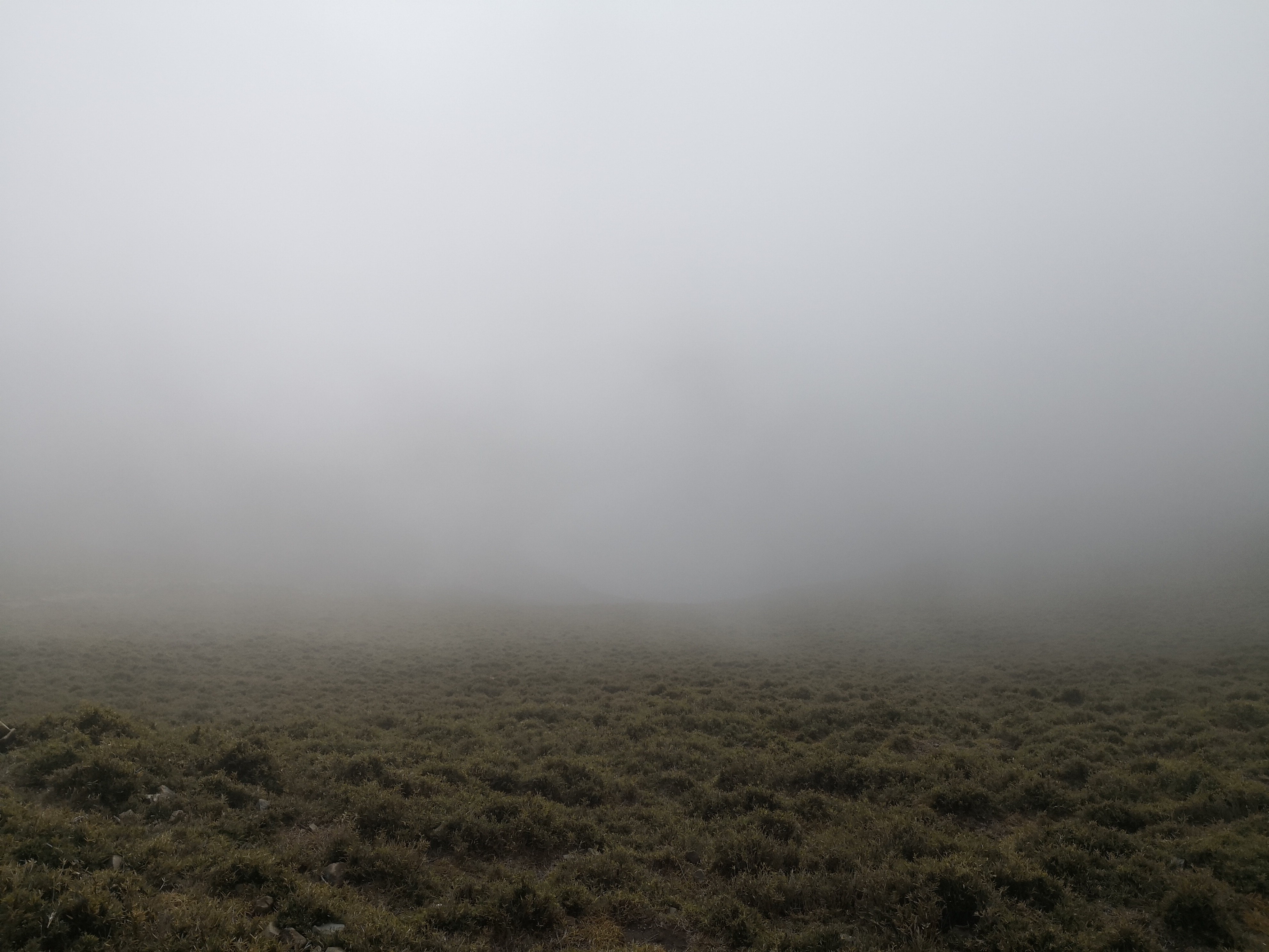 10:08 你有看到湖嗎？我有！