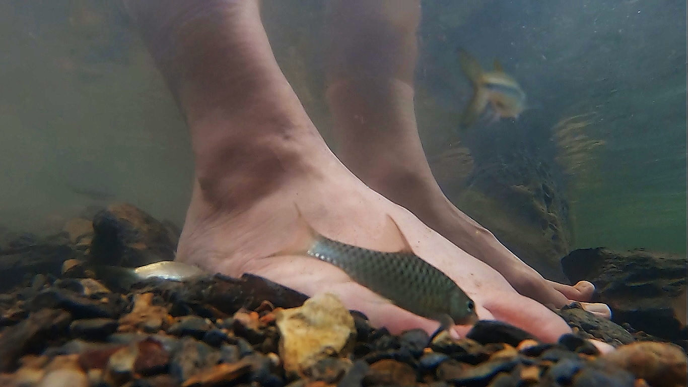 瀑布裡有會咬角質的小魚。