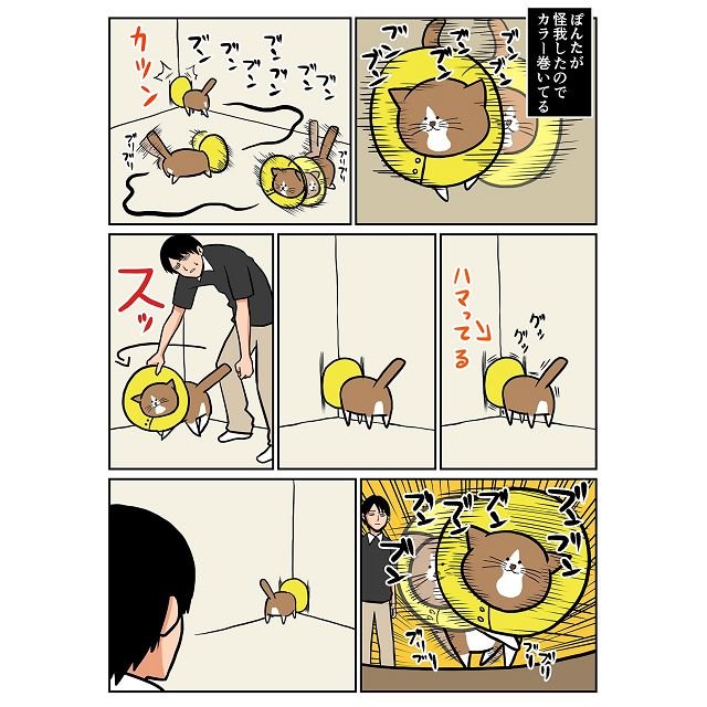 經典橋段：帶了頭套就失了神的’牆角貓皇。（圖／第一集試閱）