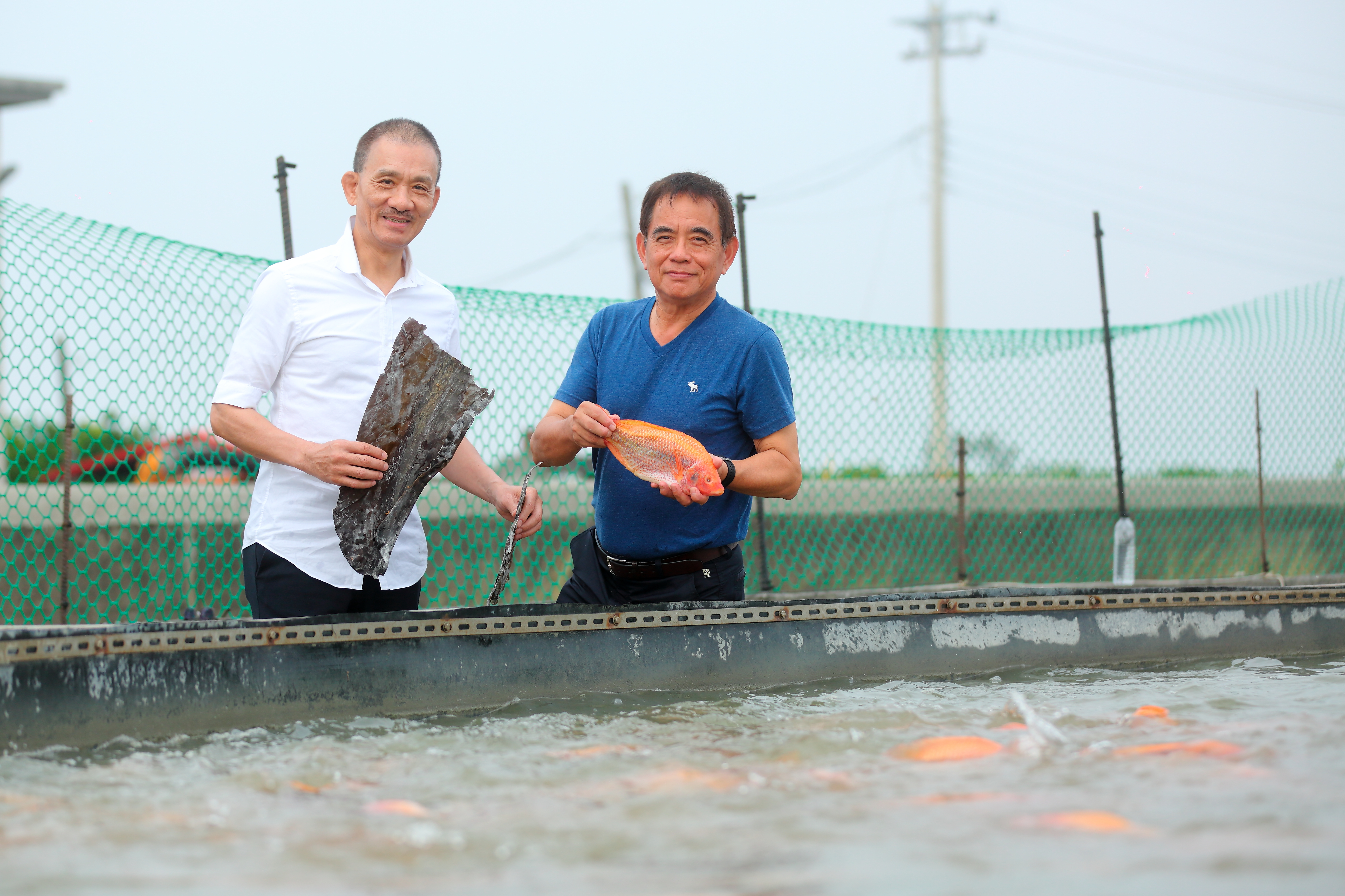張永聲（左）45歲時放棄千萬年薪、離開待了18年的德記洋行，找大學同學謝清輝（右）一起創業。燒了15年錢升級公司、創新技術，如今以褐藻系列產品及養殖漁業年收達5億。