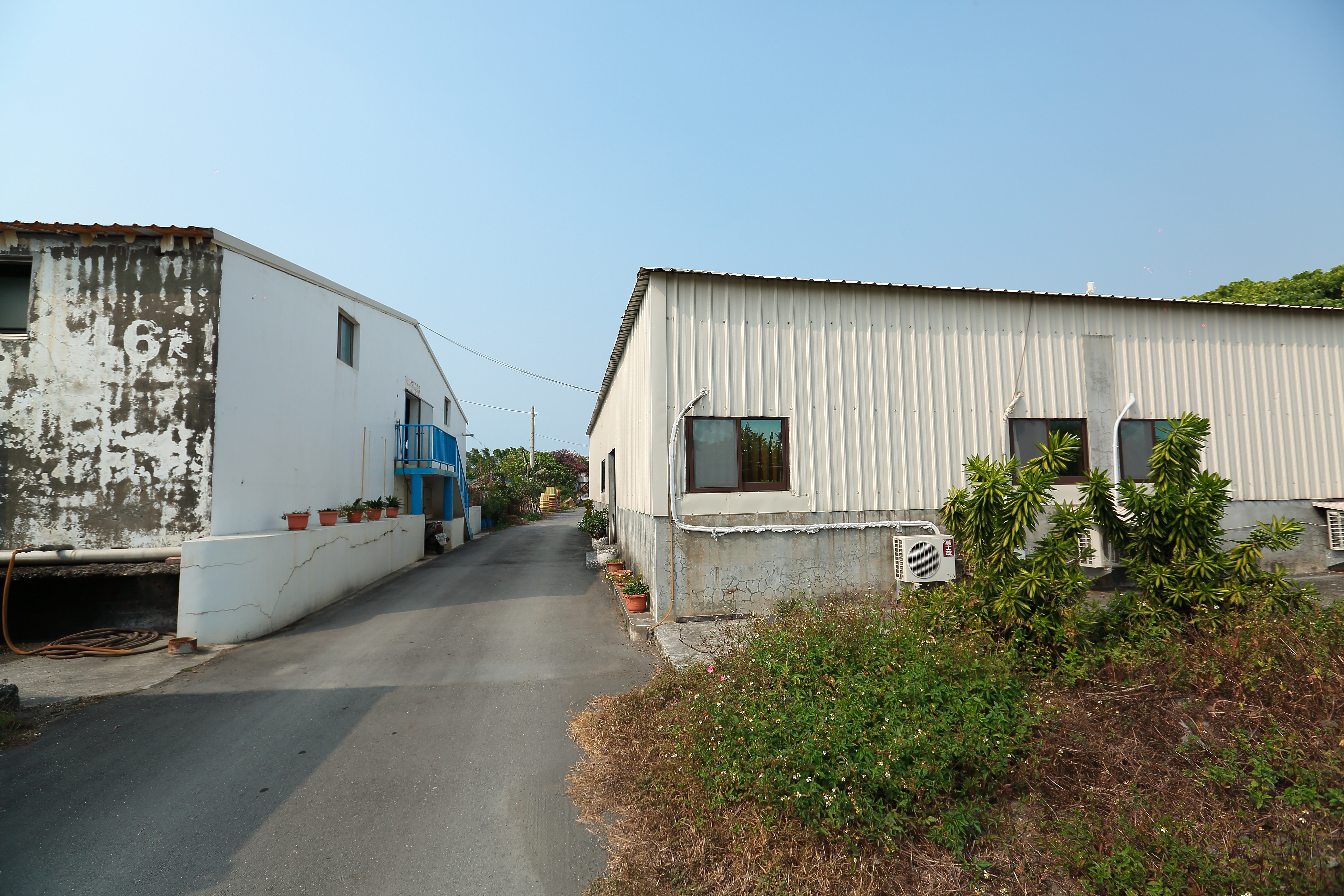 屏東林邊多是傳統魚塭，中華海養生技的室內養殖場並不特別起眼，但裡面有獨步全球的生態循環系統可在陸地上養出高檔東星斑。