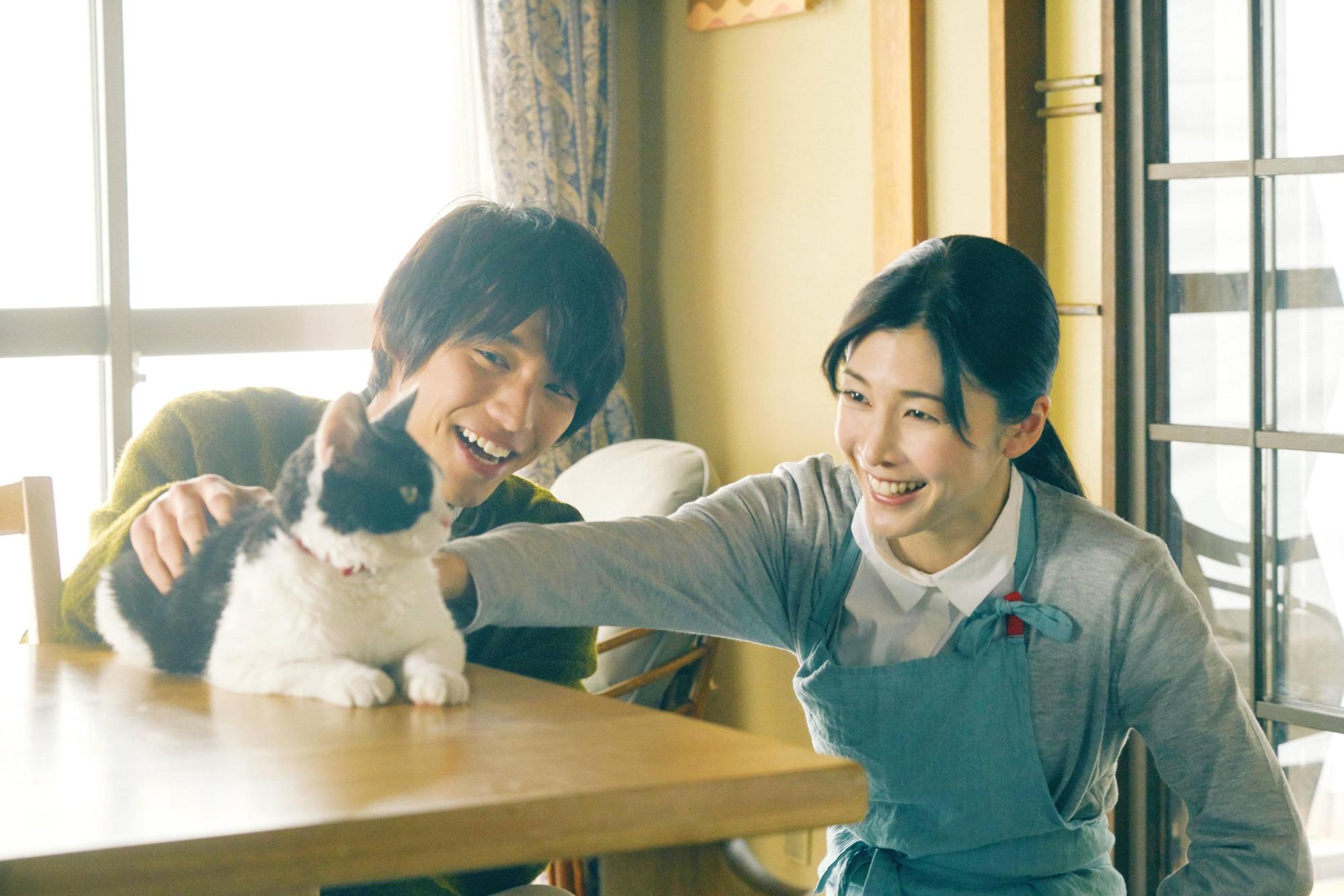 《旅貓日記》描述愛貓青年宮脇悟(福士蒼汰飾)、他的小阿姨竹內結子和野貓奈奈(高畑充希配音)因一場意外相遇相伴,但幸福的日子卻因為一個祕密而有了變化。(CATCHPLAY提供)