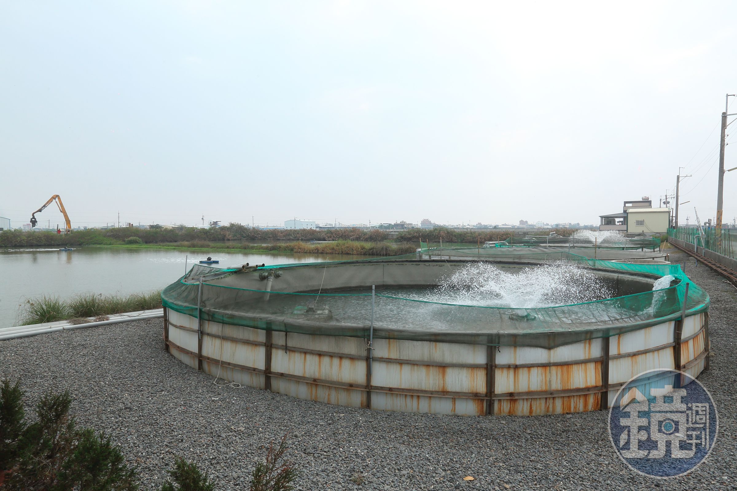 除了在林邊室內養東星斑，茄冬也有五個露天的養殖場養一般家用魚，用的也是不抽地下水的生態循環技術，友善養殖。