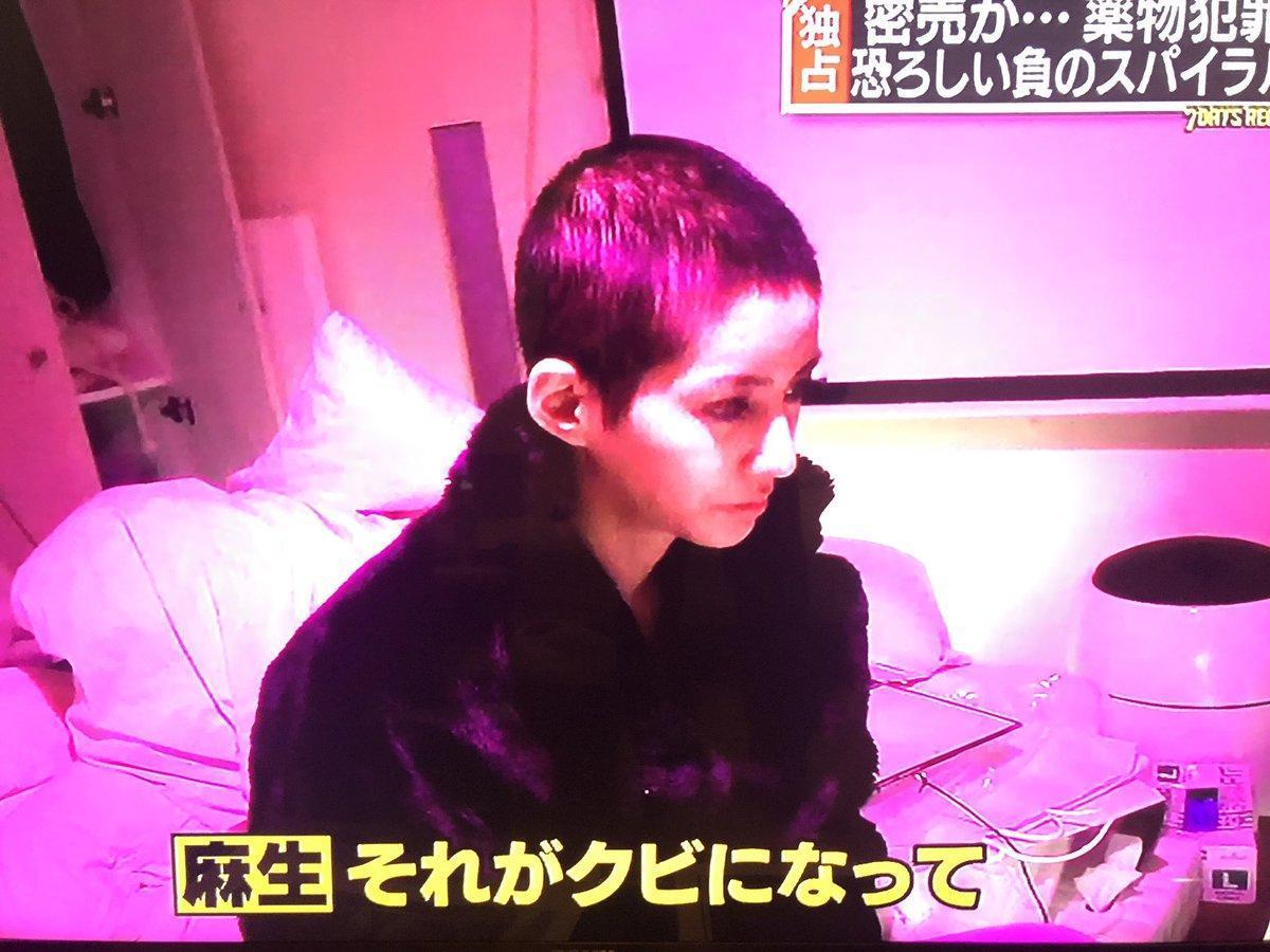 麻生希在家中吸毒被警方逮捕。(網路圖片)