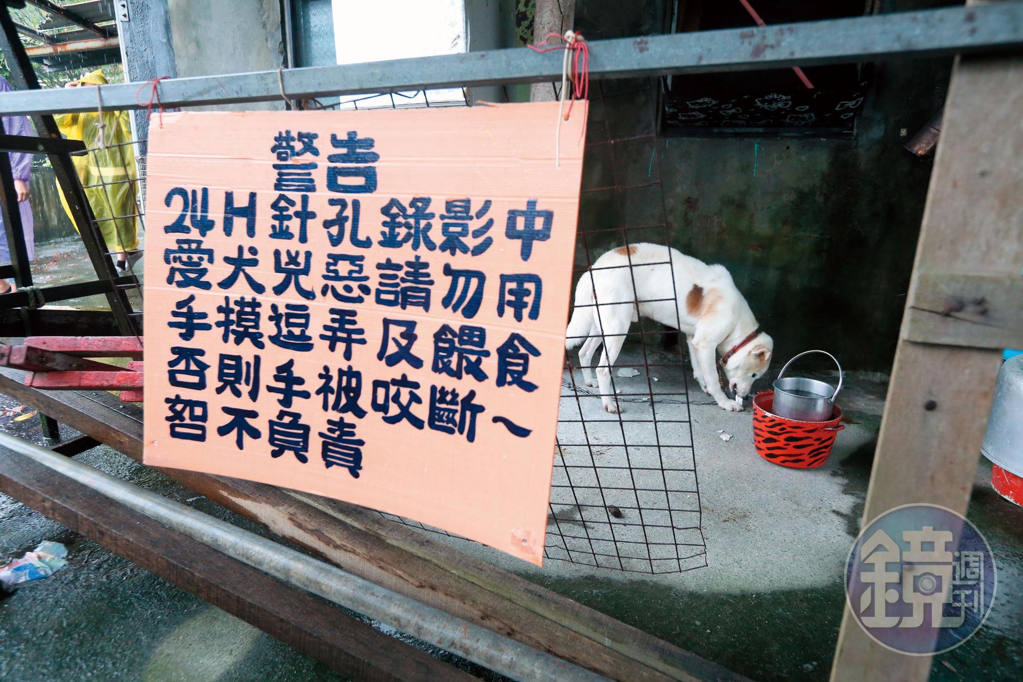 死者住家隔壁的廢棄屋門口,有1隻疑似死者養的白狗,整天無精打采,也沒有告示牌上所說的凶惡。