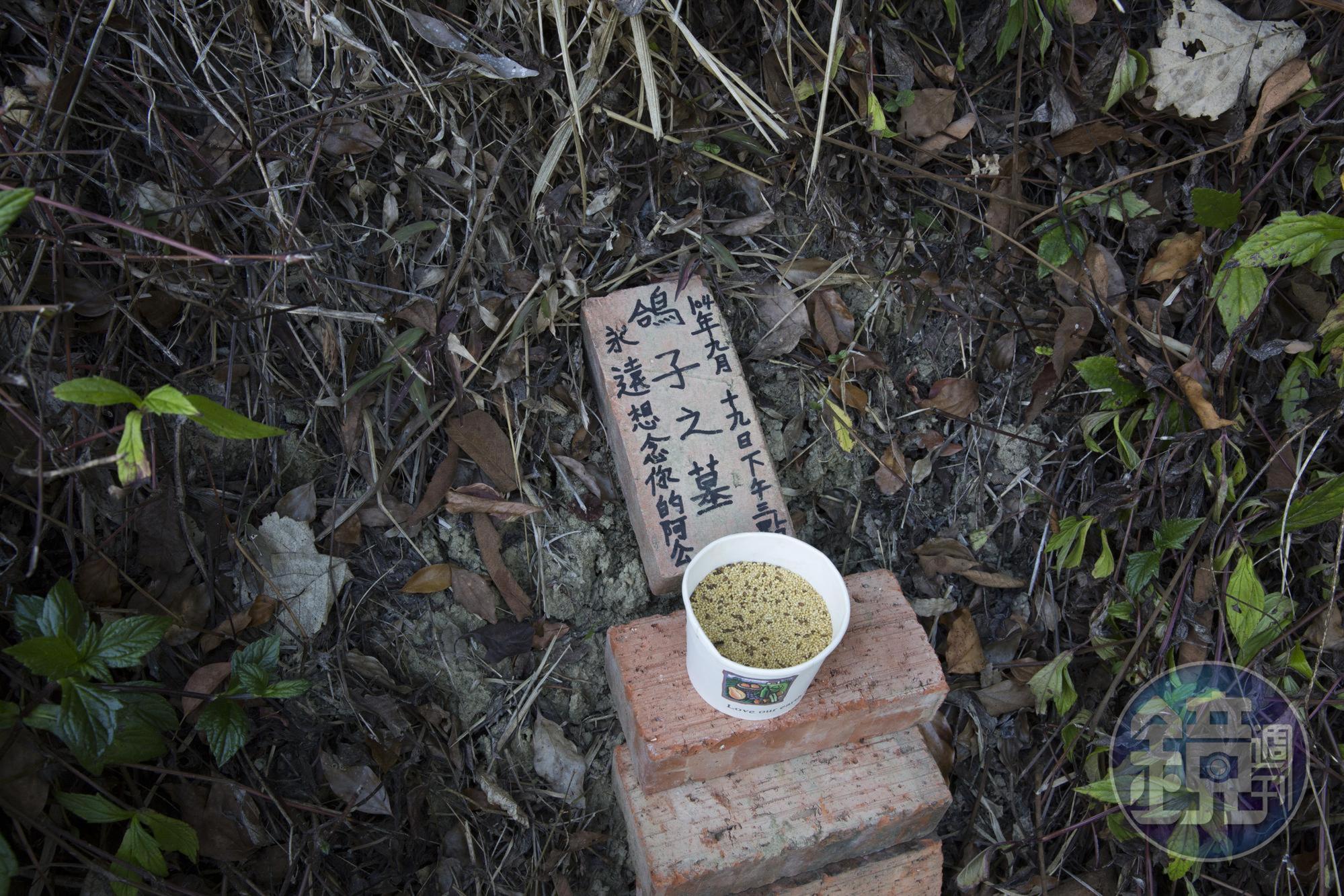 謝天福路上見到動物屍體會不忍,發善心將牠們埋葬。