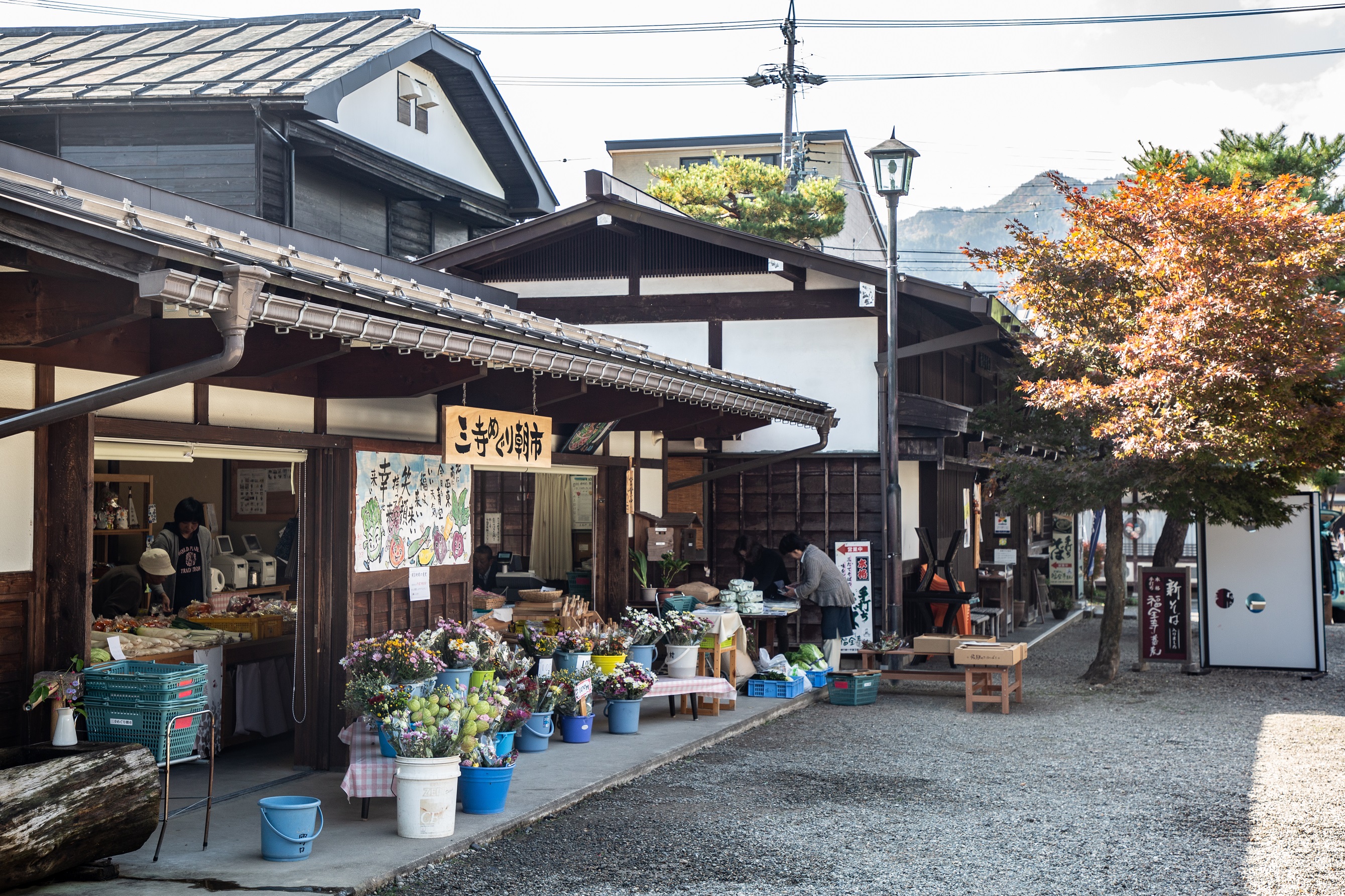 飛驒古川的圓光寺、真宗寺、本光寺並稱「三寺」，迷你「三寺朝市」成了附近居民一早購買花卉蔬果的地方。