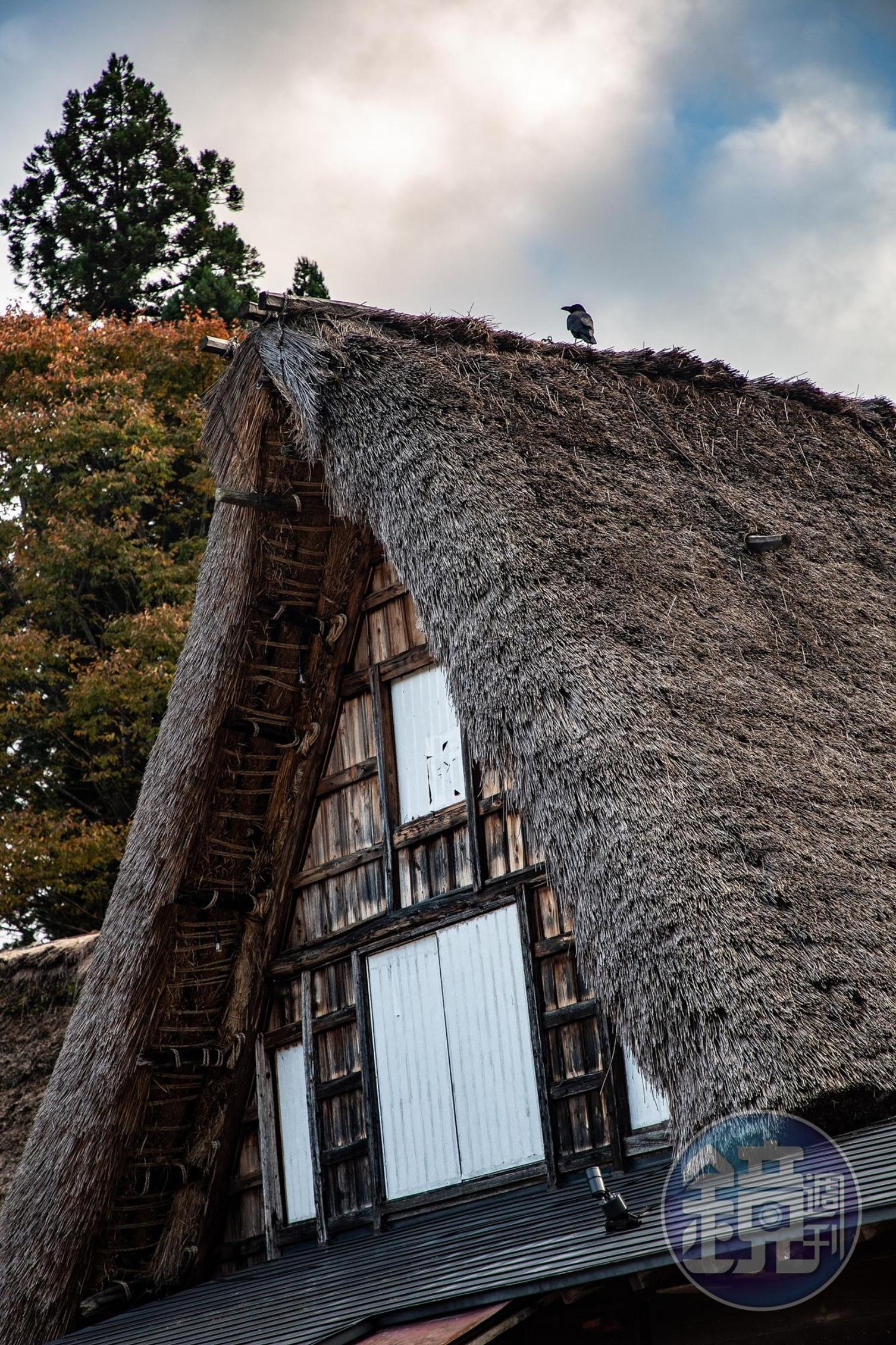 屋頂幾近60度的合掌屋，是為了讓冬天積雪容易滑落而刻意建造。