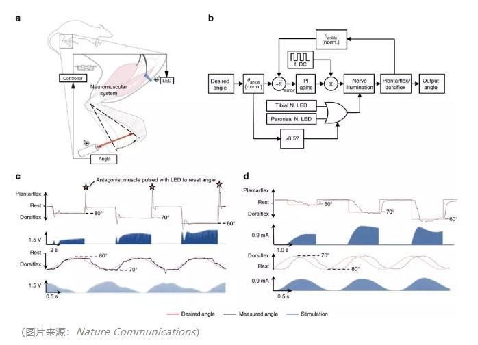 （圖片來源：Nature Communications）