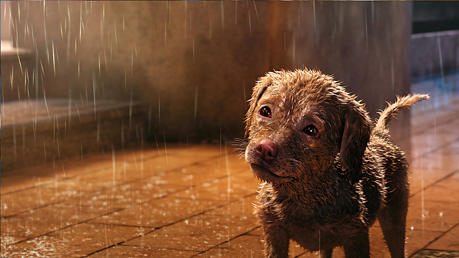 導演張毅闊別影壇30年,最近以動畫電影《狗狗傷心誌》與觀眾見面。