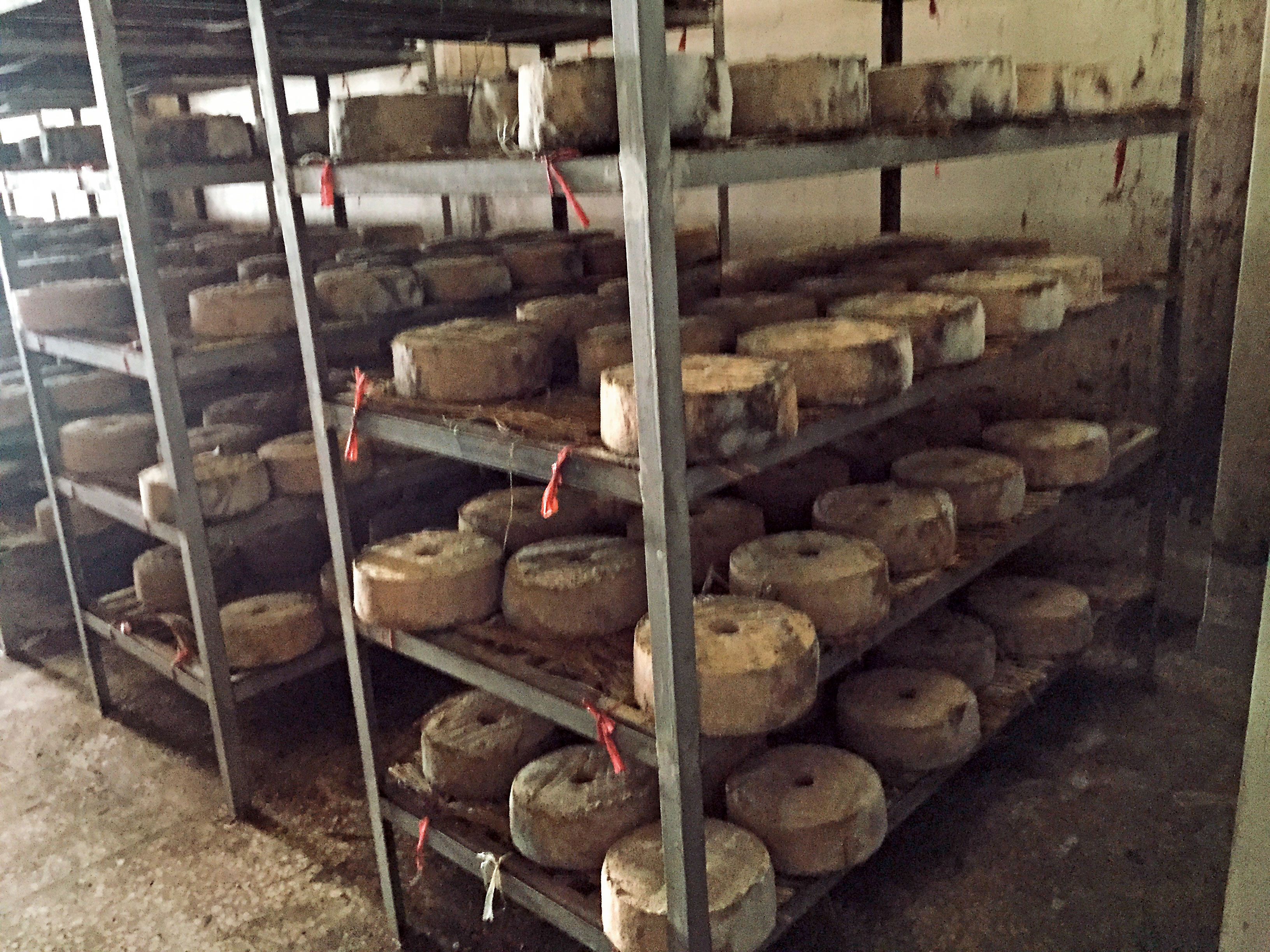 製麴是釀好高粱的關鍵之一，也是酒廠特色展現之處。麴餅看來像塊起司，是用小麥做的，擺在開放空間自然落菌。