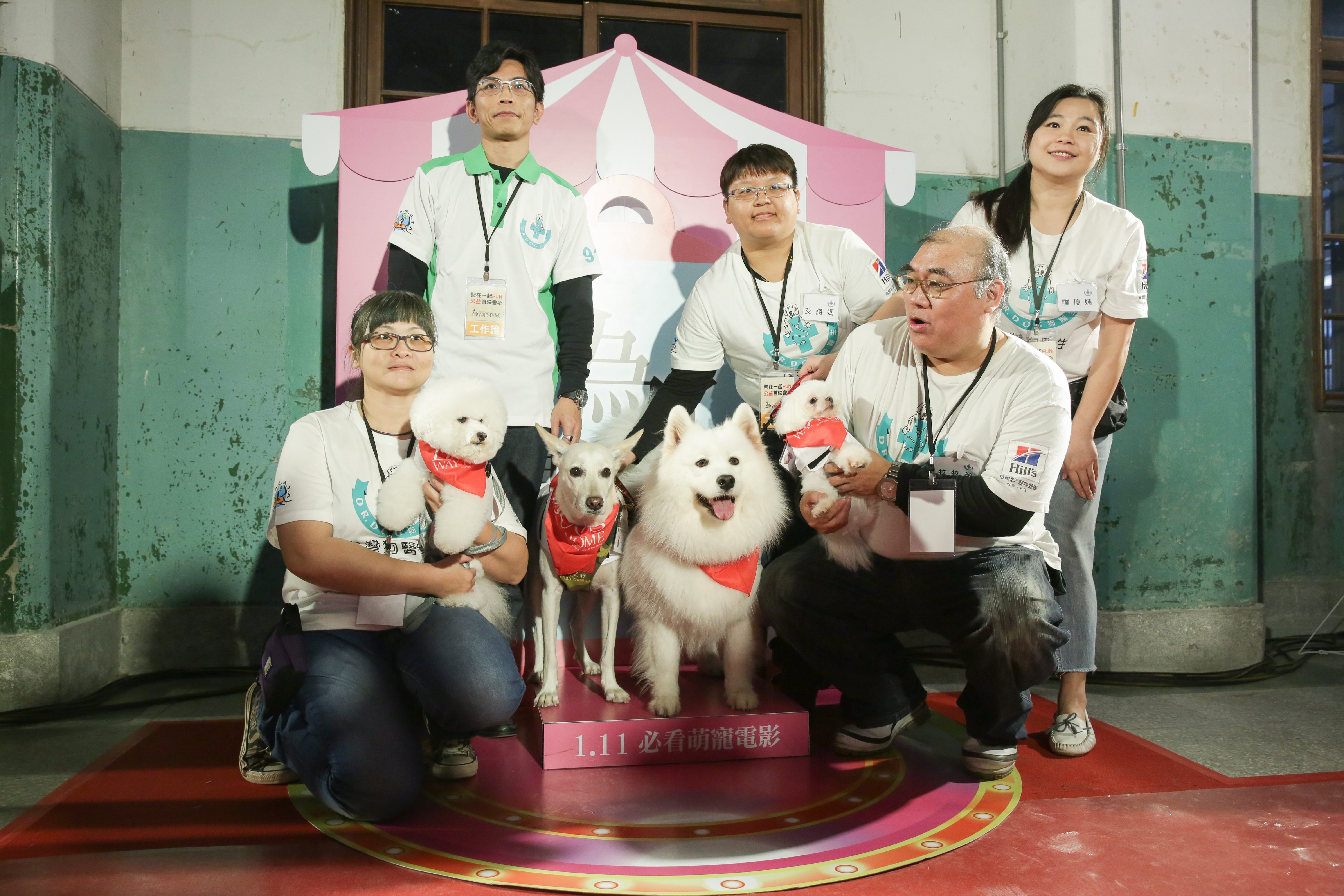 現場除了「台灣狗醫生協會」帶來的寵物外，也有上百位粉絲帶來自己的狗狗一起來觀影。