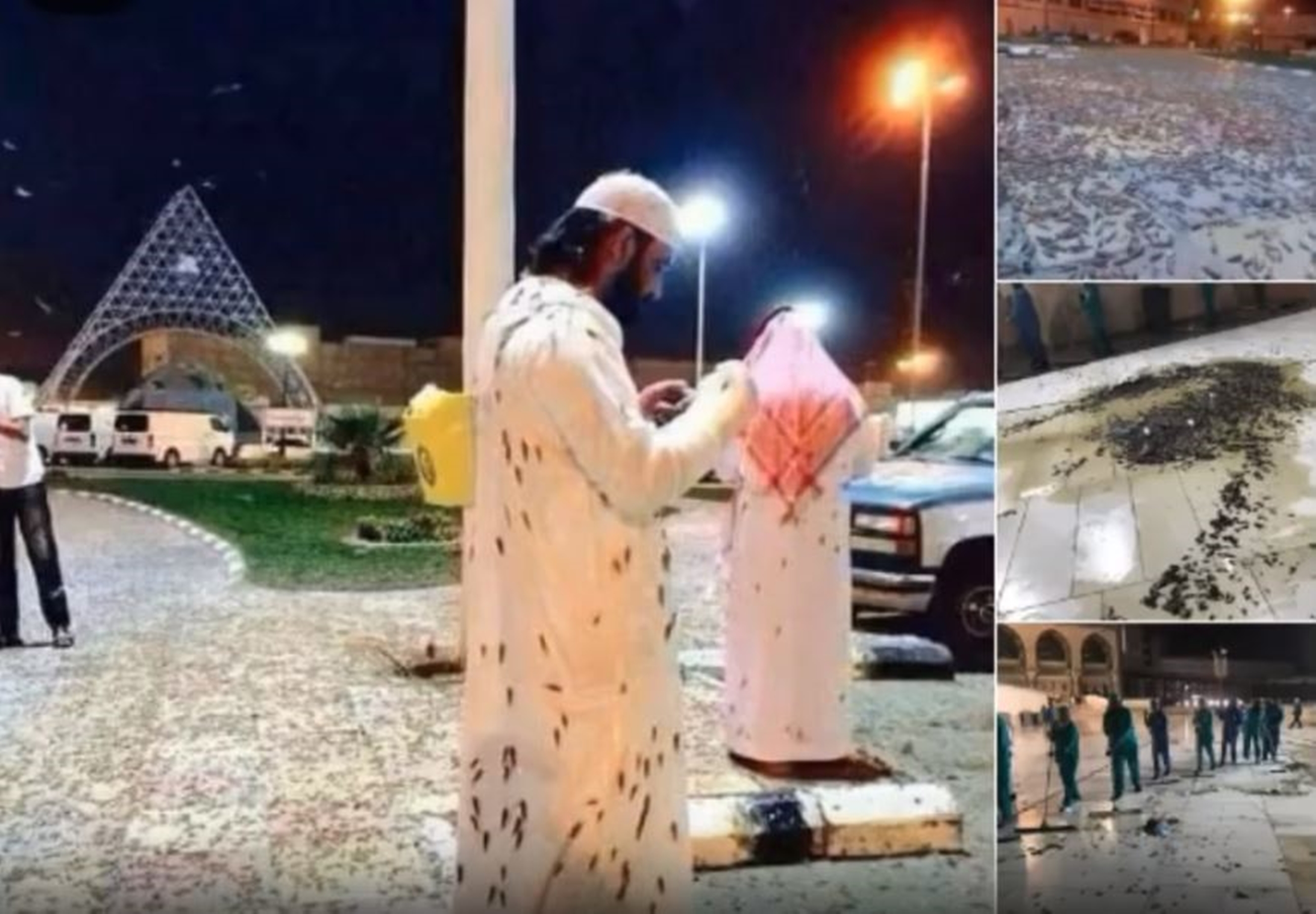 伊斯蘭聖城麥加遭受蝗災影響，到處蝗蟲飛舞，連信徒的衣服上沾上一堆。（翻攝自網路）