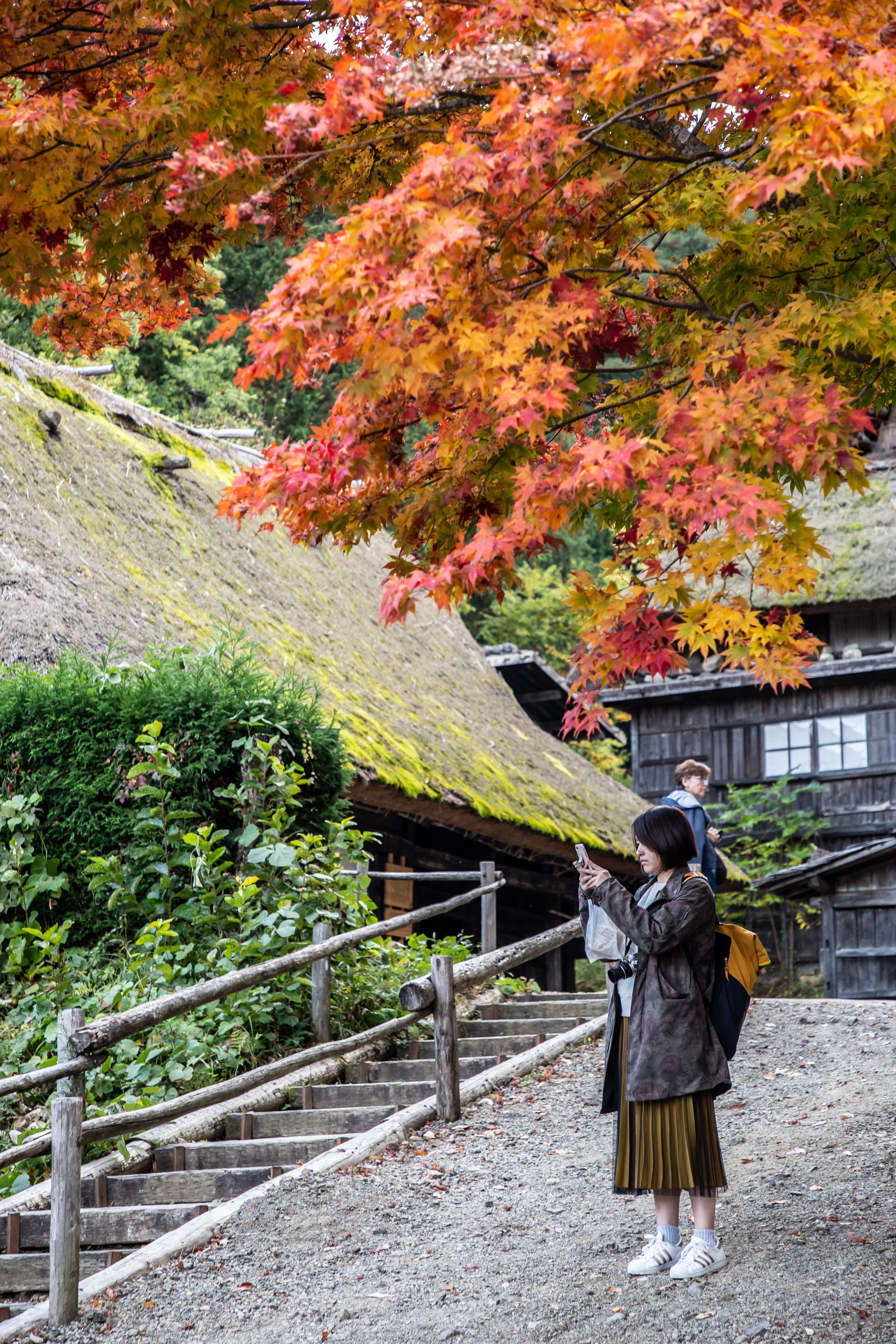 路邊偶爾可見深紅楓景。