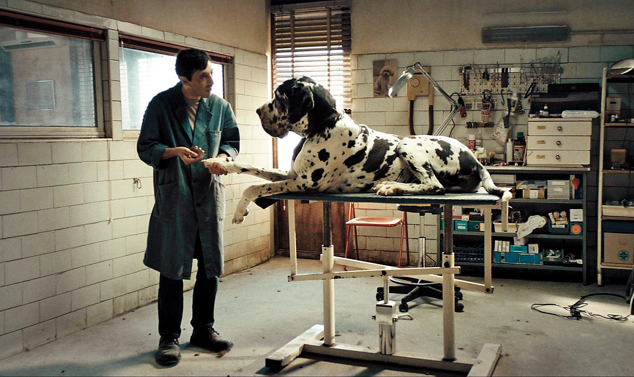 性情溫和的寵物美容師因意外捲入黑幫犯罪，成了冷血復仇者。不僅男主角馬切羅馮提演技精湛，連狗明星都很出彩。（金馬執委會提供）