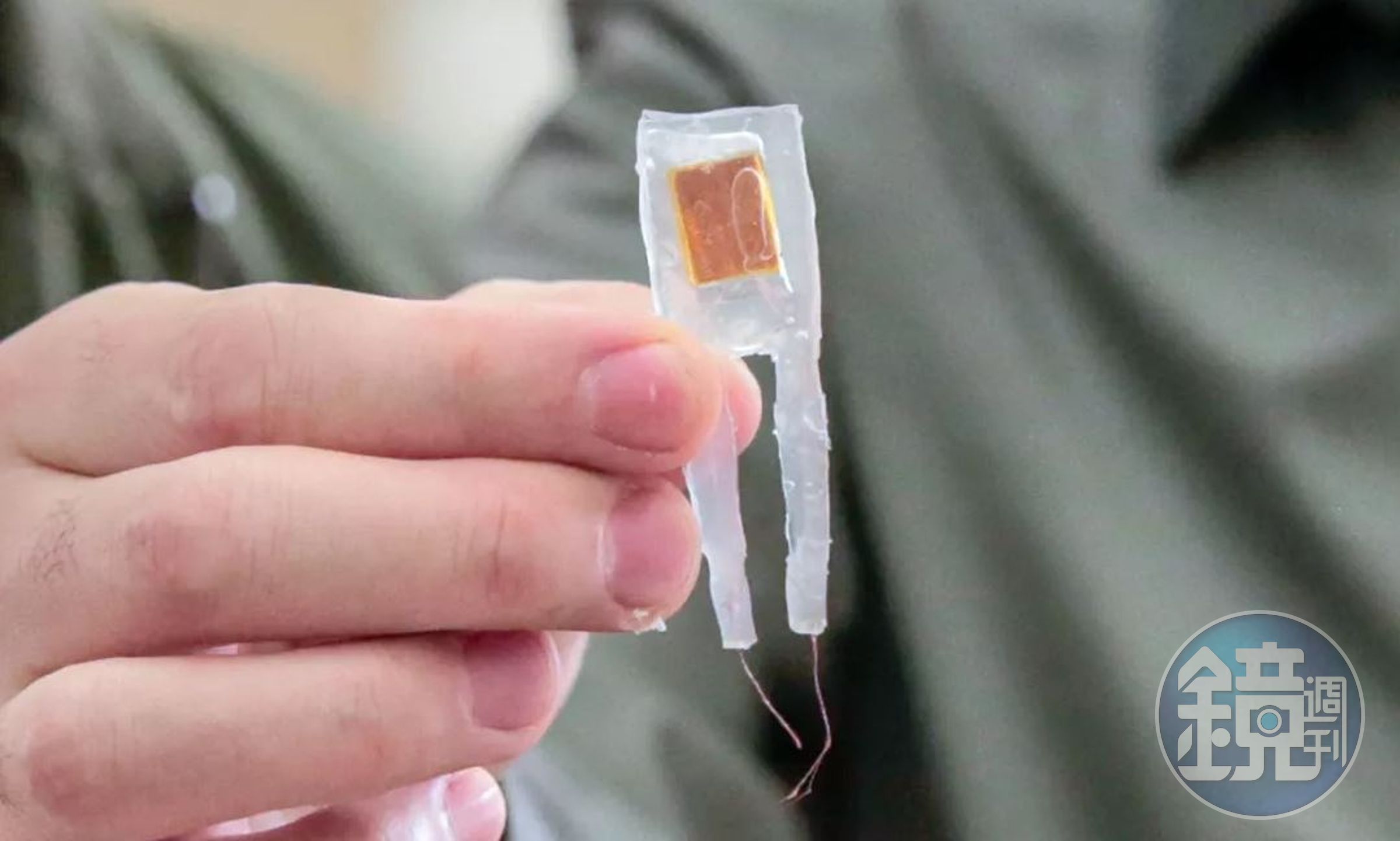 研究人員研製的胃部植入物（來源：IEEE）