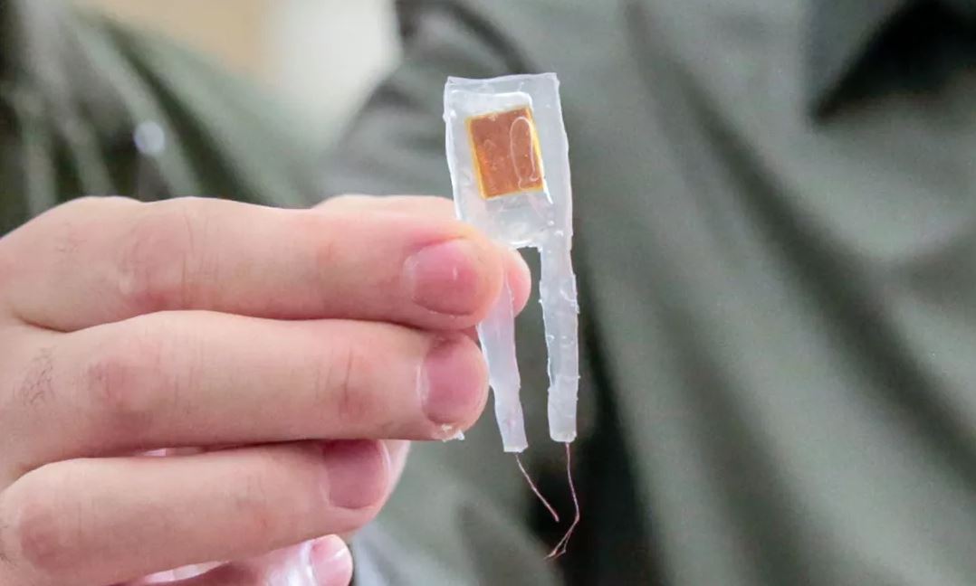 研究人員研製的胃部植入物（來源：IEEE）