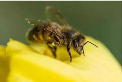 (來源:Ian Grainger / Alamy Stock)