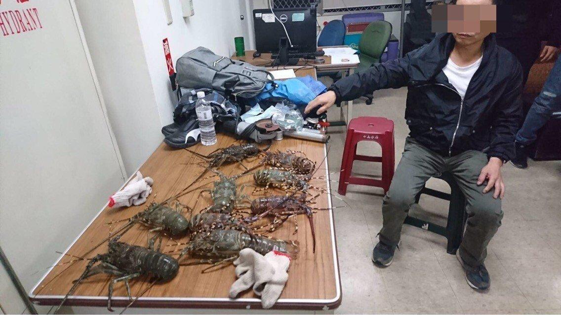 遭逮的鄧姓慣竊因剛偷完海鮮餐廳，身上還攜有9隻活龍蝦。（警方提供）