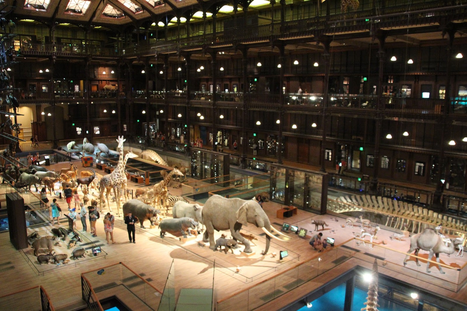 法國國立自然史博物館的動物演化廳，便是結合藝術的手法，展示自然史的科學標本與知識，此展示在1994年更新時，轟動世界各地的自然科學博物館。