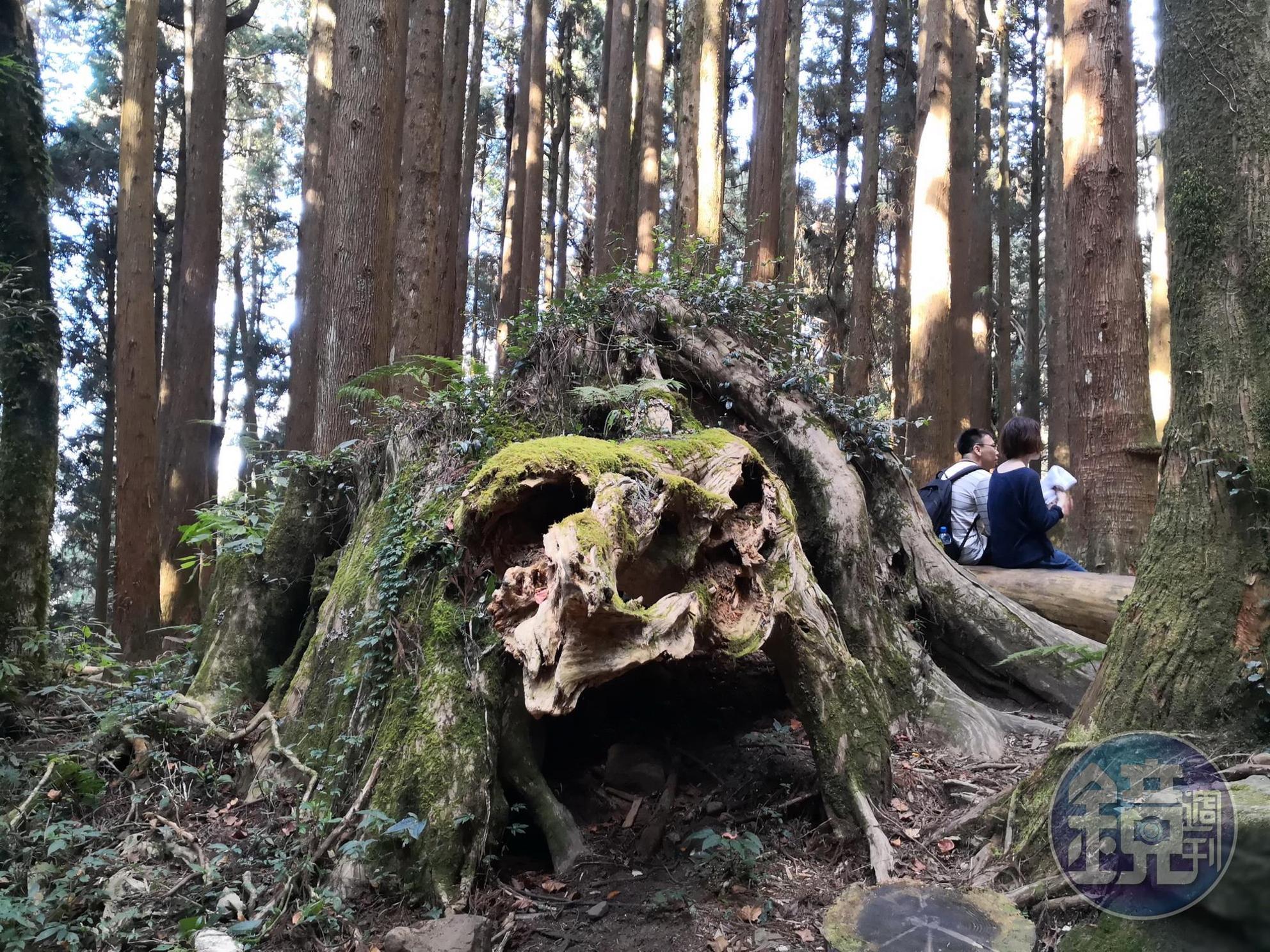 3.7公里有平坦的休息處。