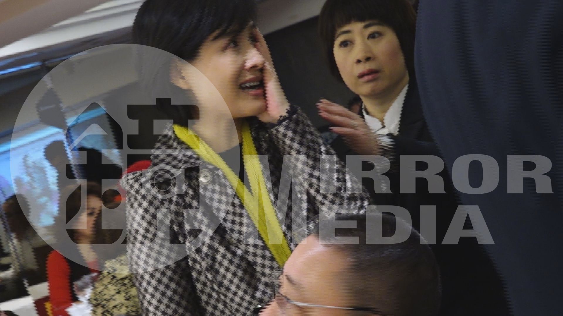 文化部長鄭麗君今天出席資深藝人春節餐會，遭資深藝人鄭惠中當眾打了一巴掌。