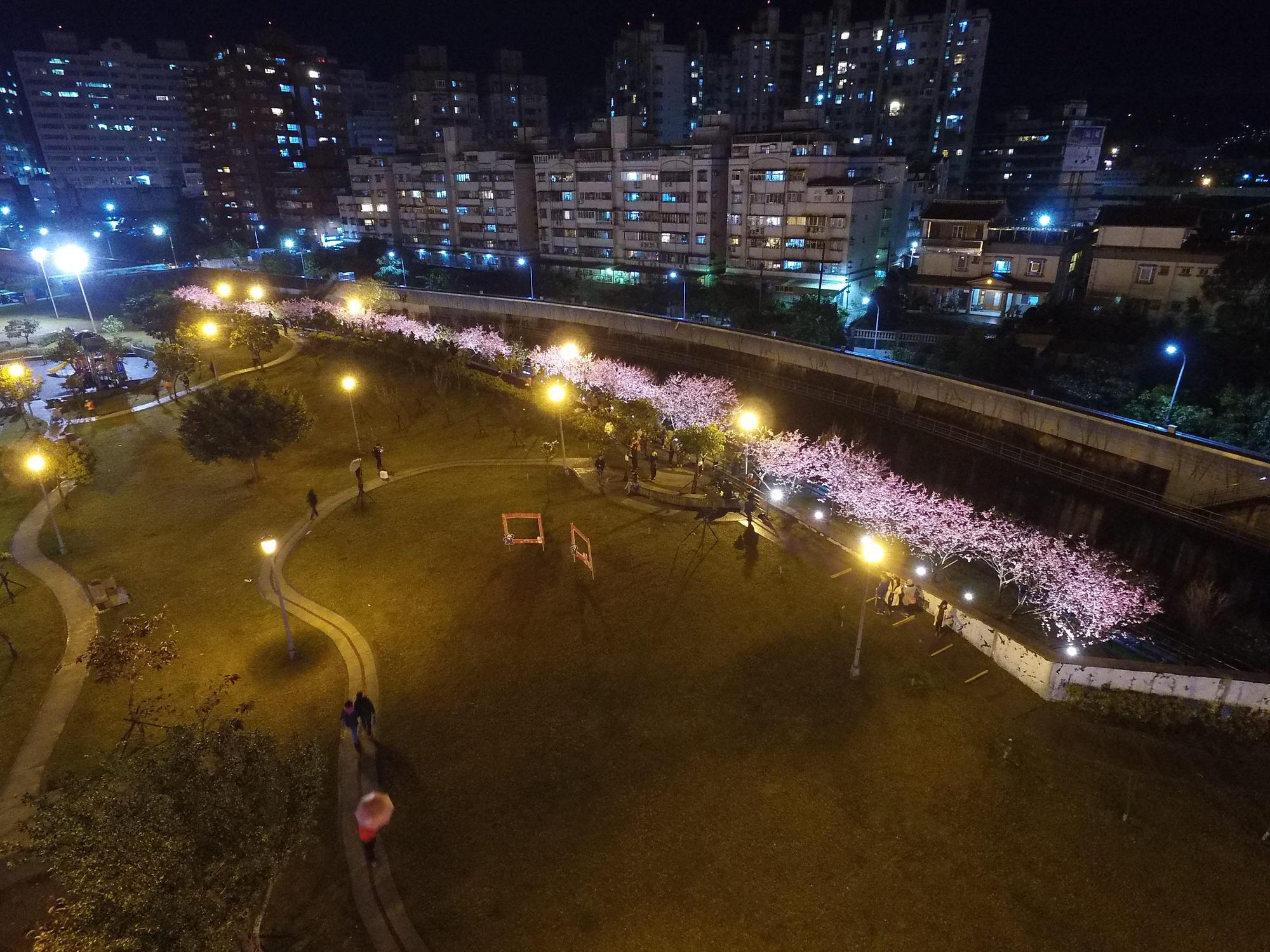 內湖樂活公園有長達3公里的河岸櫻花步道。(台北市工務局網頁)