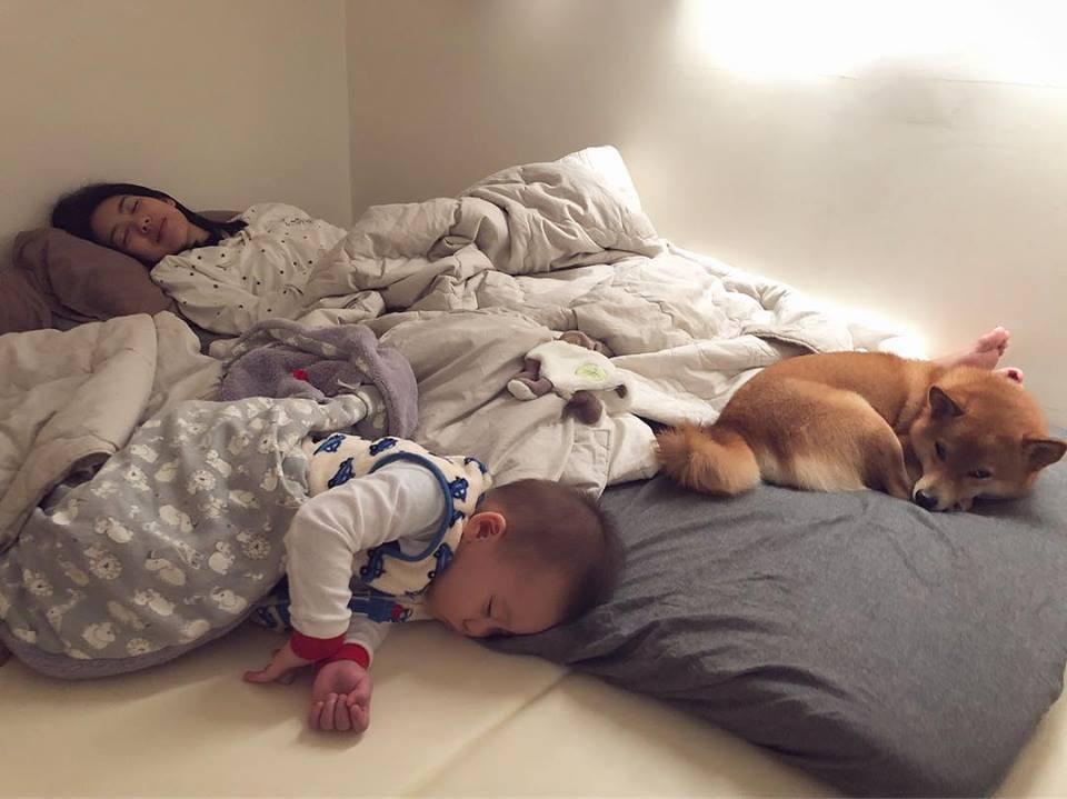 林可彤昨晚被老公拍下與小孩及狗女兒的睡相,她也來跟大家分享小孩獨立的看法。(翻攝自林可彤臉書)
