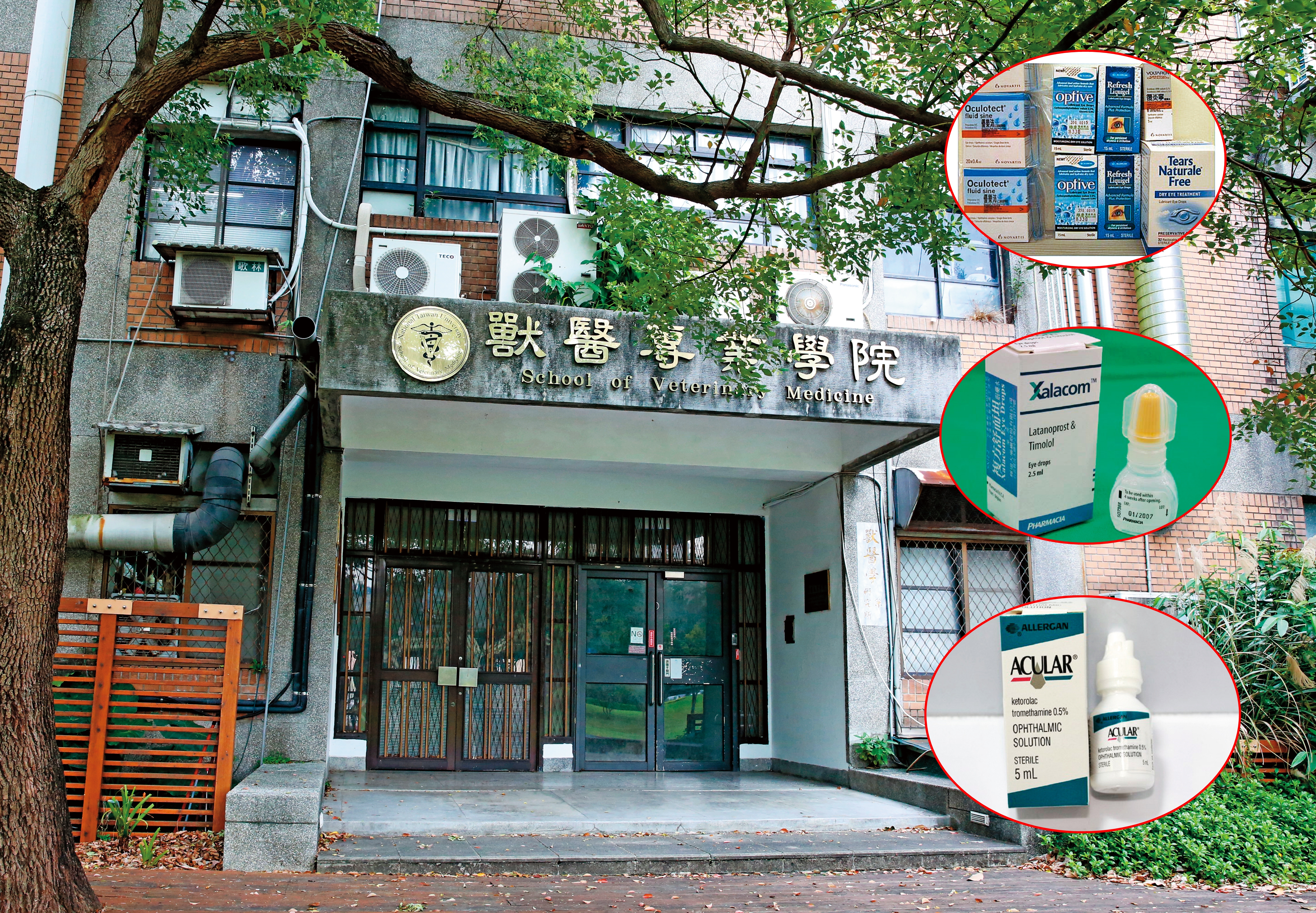 台大教評會不顧〈教師法〉第14條規定，非得聘林中天回獸醫學院任教。