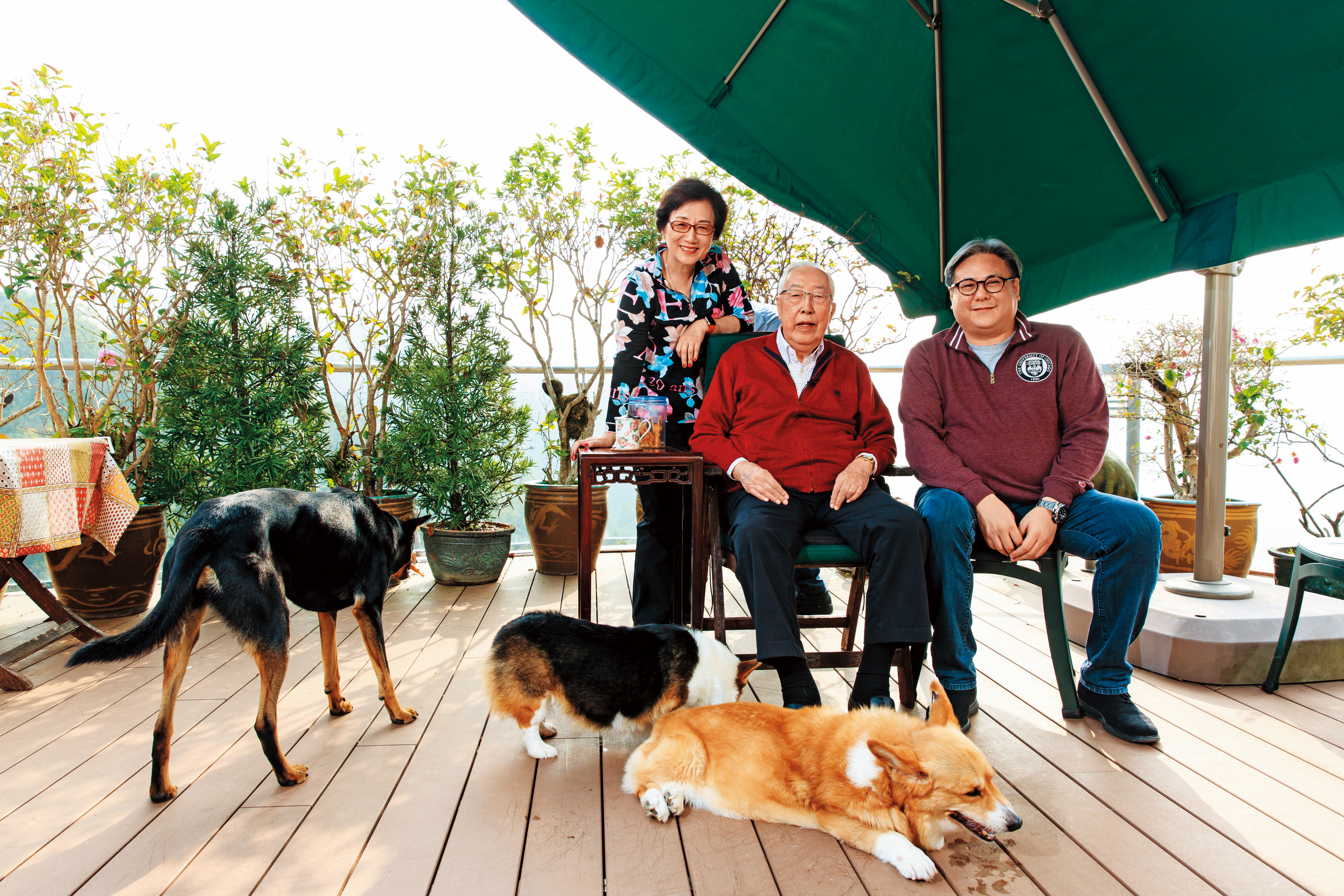 榮鴻慶香港宅邸首度曝光，榮鴻慶不僅愛豬，也相當愛狗。