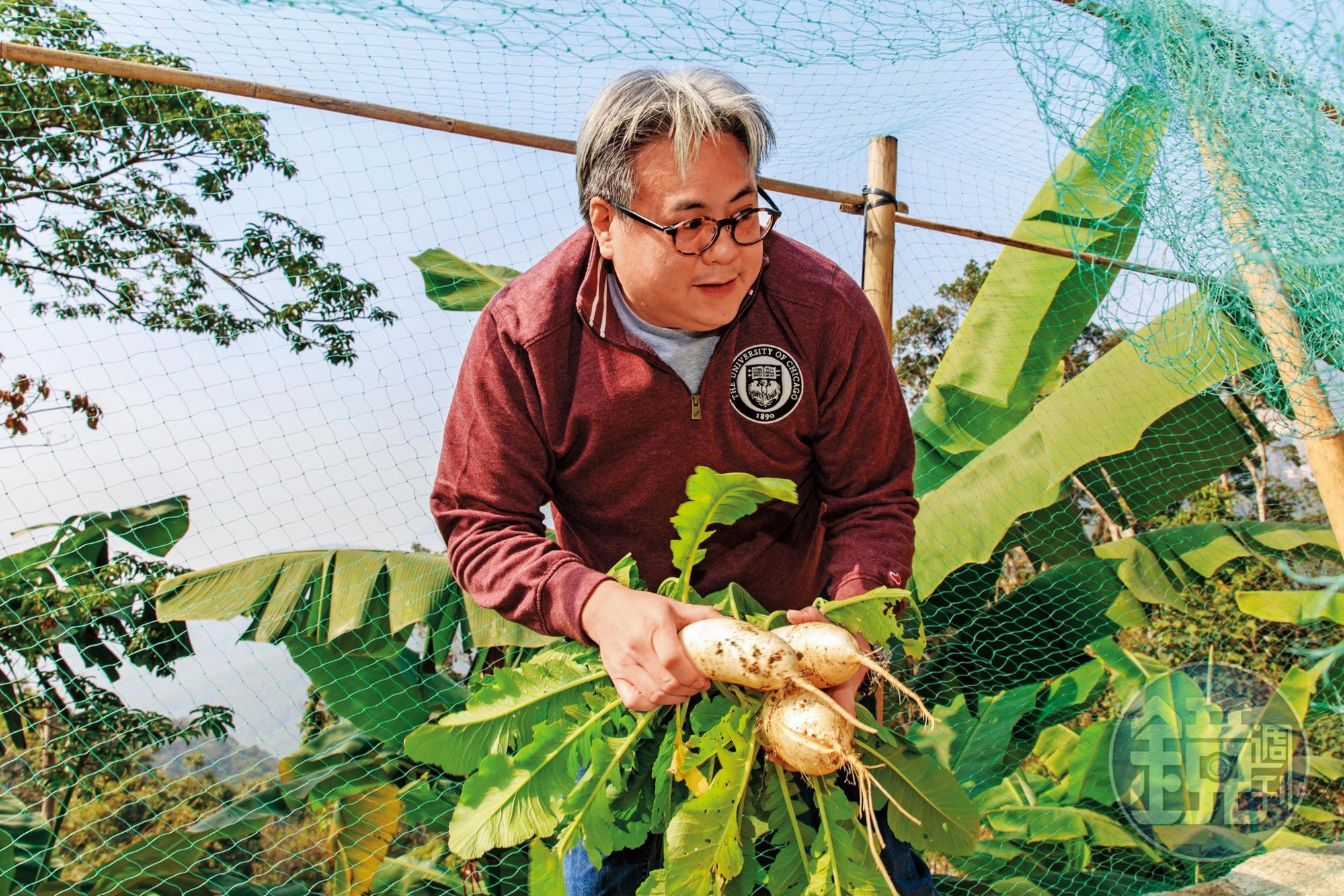 榮鴻慶的孫兒榮康信親自摘菜、拔蘿蔔，在家享受田園樂。