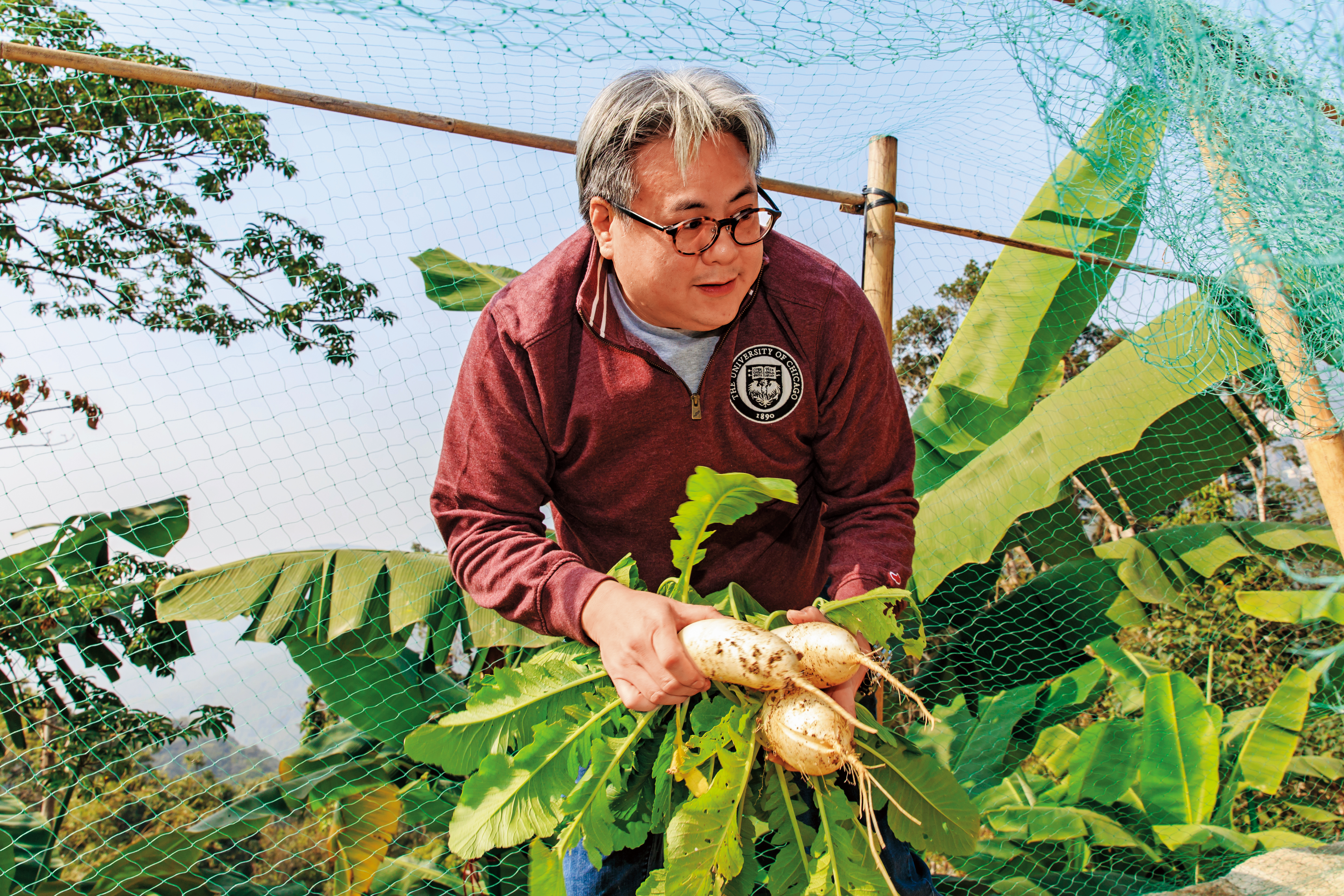 榮鴻慶的孫兒榮康信親自摘菜、拔蘿蔔，在家享受田園樂。