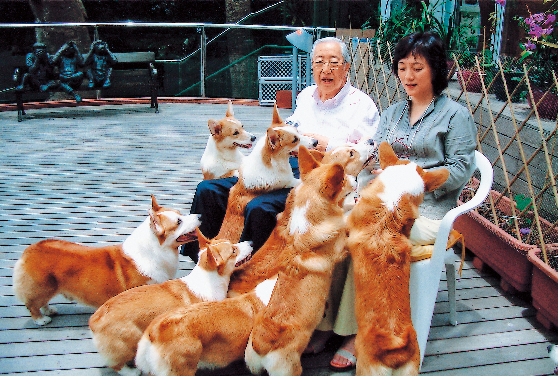 榮鴻慶和太太榮周淑霞愛狗，出門遛狗時被鄰居說是八仙。（上海商銀提供）