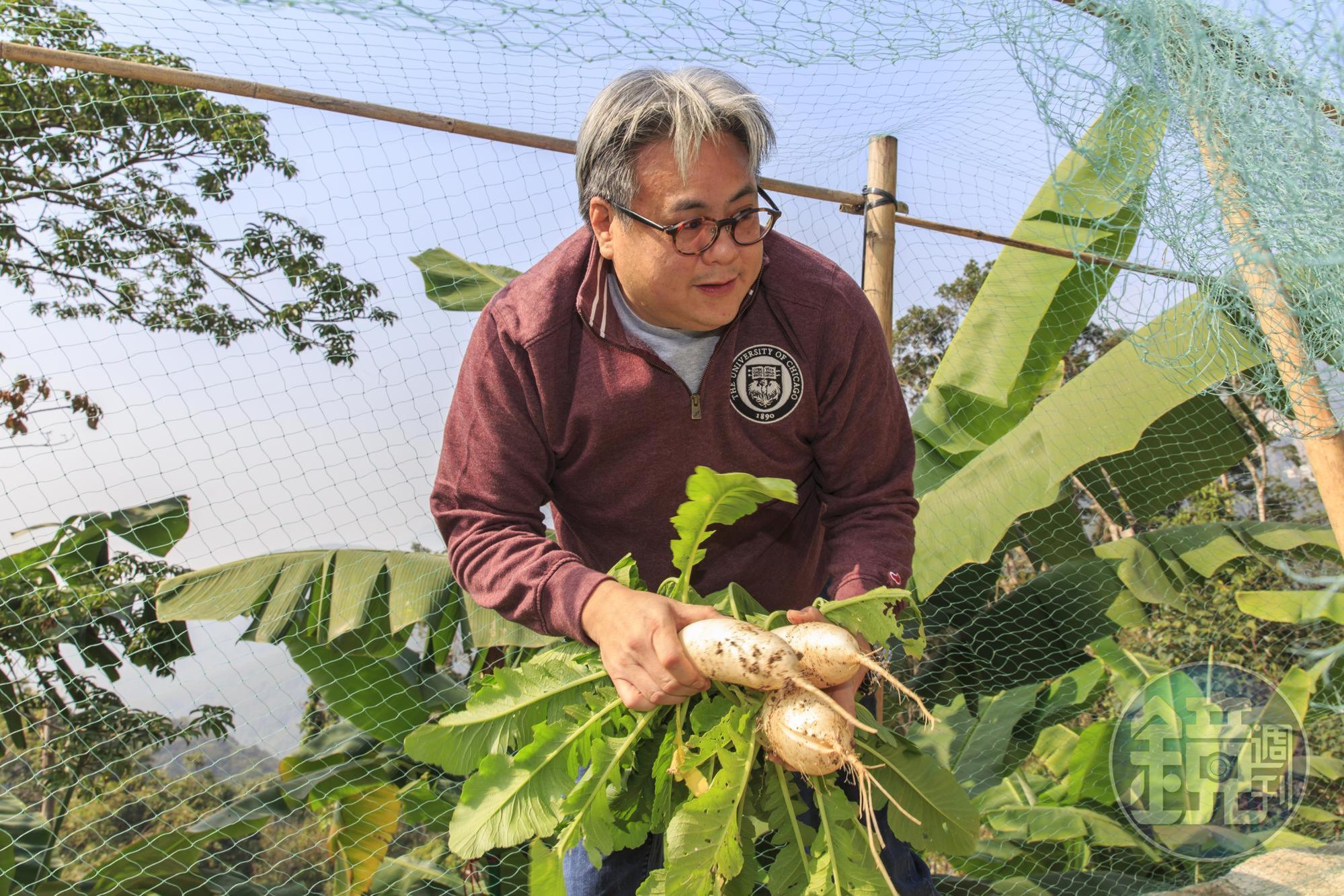 榮鴻慶的孫兒榮康信親自摘菜、拔蘿蔔，在家享受田園樂。 