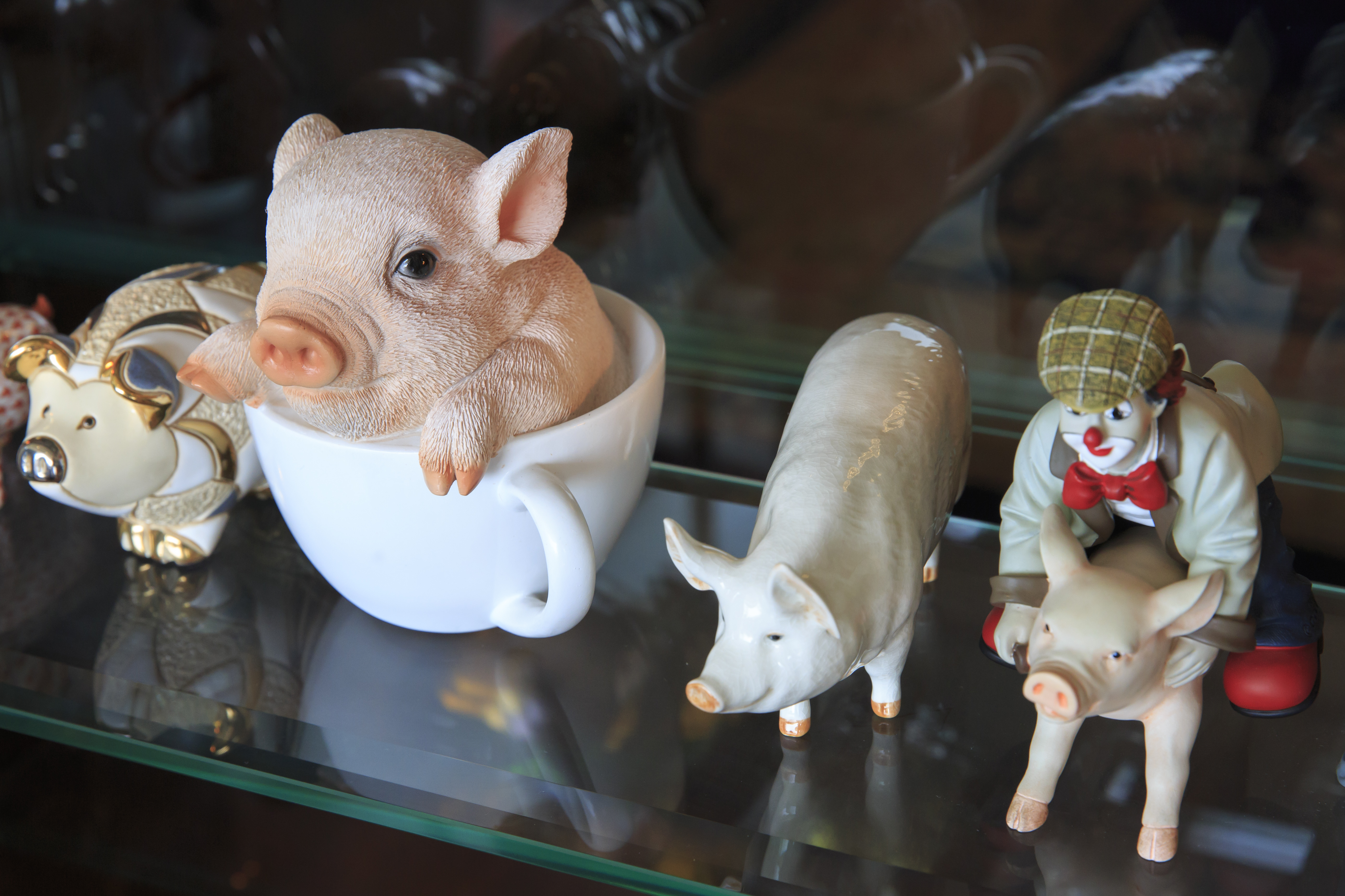 榮鴻慶屬豬，家中收藏上千種豬擺設。