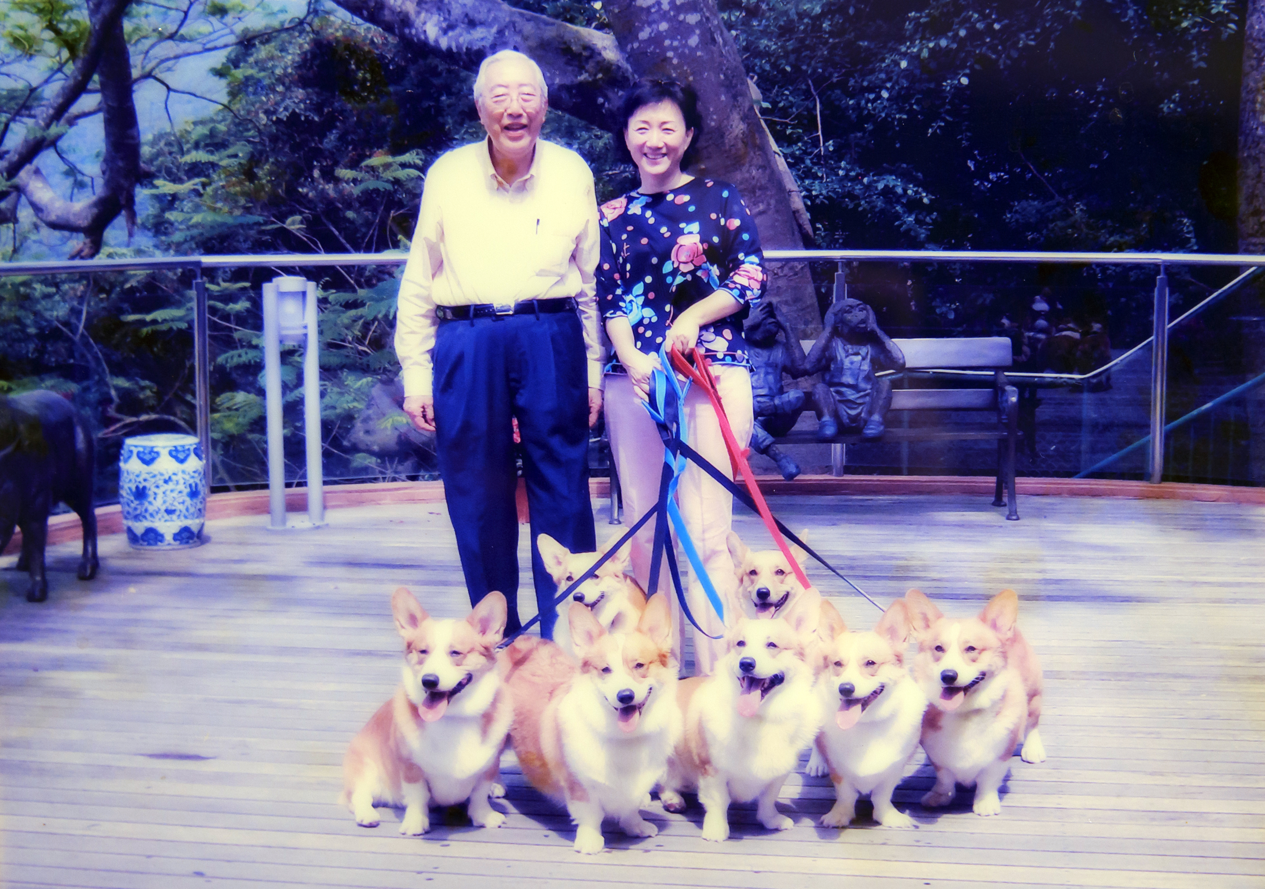 榮鴻慶和太太榮周淑霞愛狗，出門遛狗時被鄰居說是八仙。（上海商銀提供）