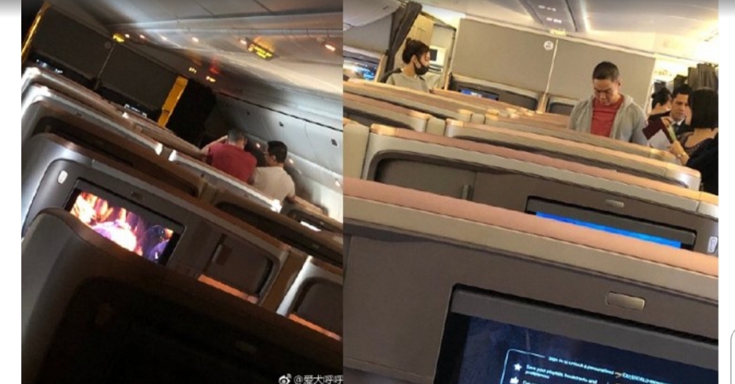 網友爆料,看到張雨綺跟小王、袁巴元在飛機三人行,而且小王跟袁巴元相談甚歡。(翻攝愛犬呼呼微博)