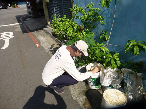 疾管署提醒,今年是暖冬,有利於斑蚊蟲孳生,希望民眾能小心自身安全。(翻攝畫面)