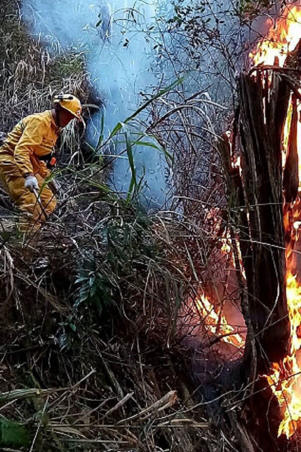 現場地勢陡峭，地面人員作業十分不容易。（林管處提供）