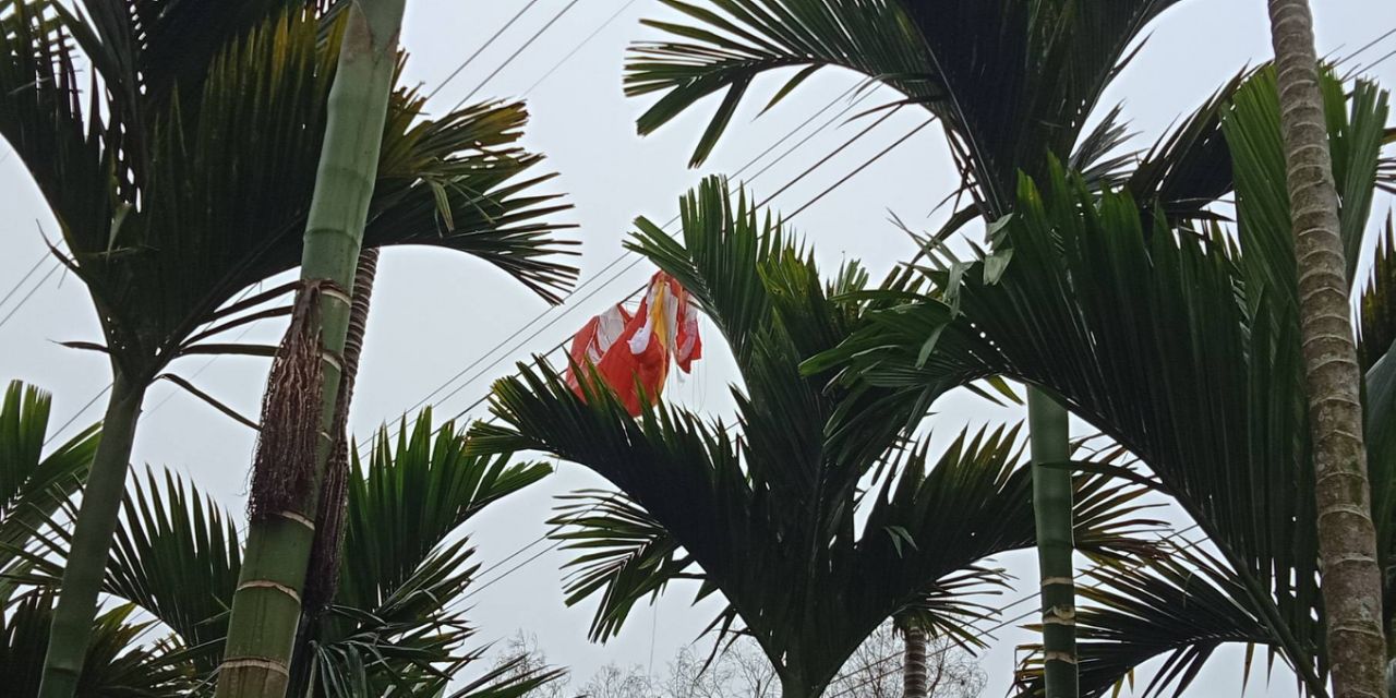 卡在高壓電塔上的飛行傘。(花蓮消防局提供)