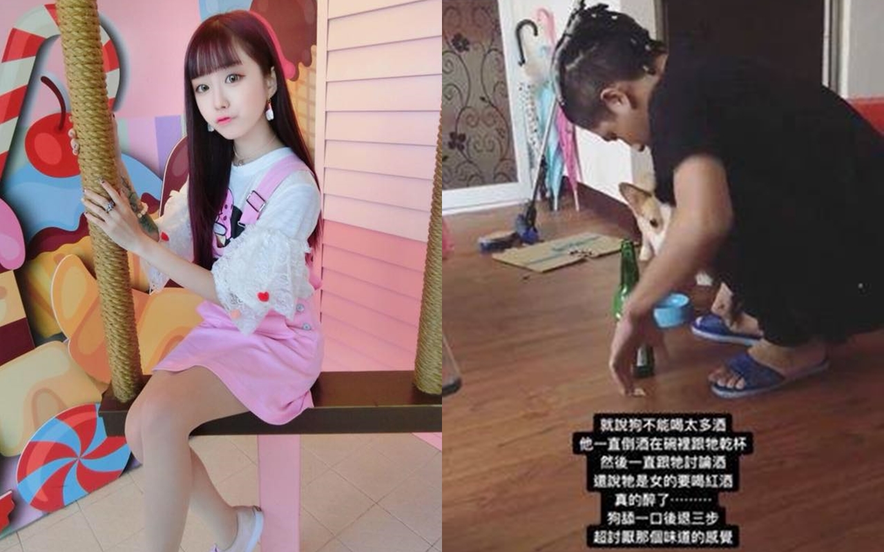 網紅白紀亞貼出友人餵狗喝酒的照片而引發熱議。(翻攝畫面)