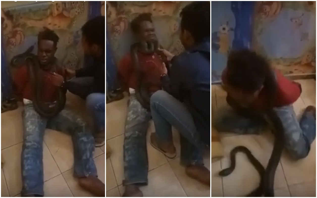 嫌犯脖子上被掛了巨蛇，害怕的扭動求饒。（翻攝自Lewis Prai Wellip Youtube）