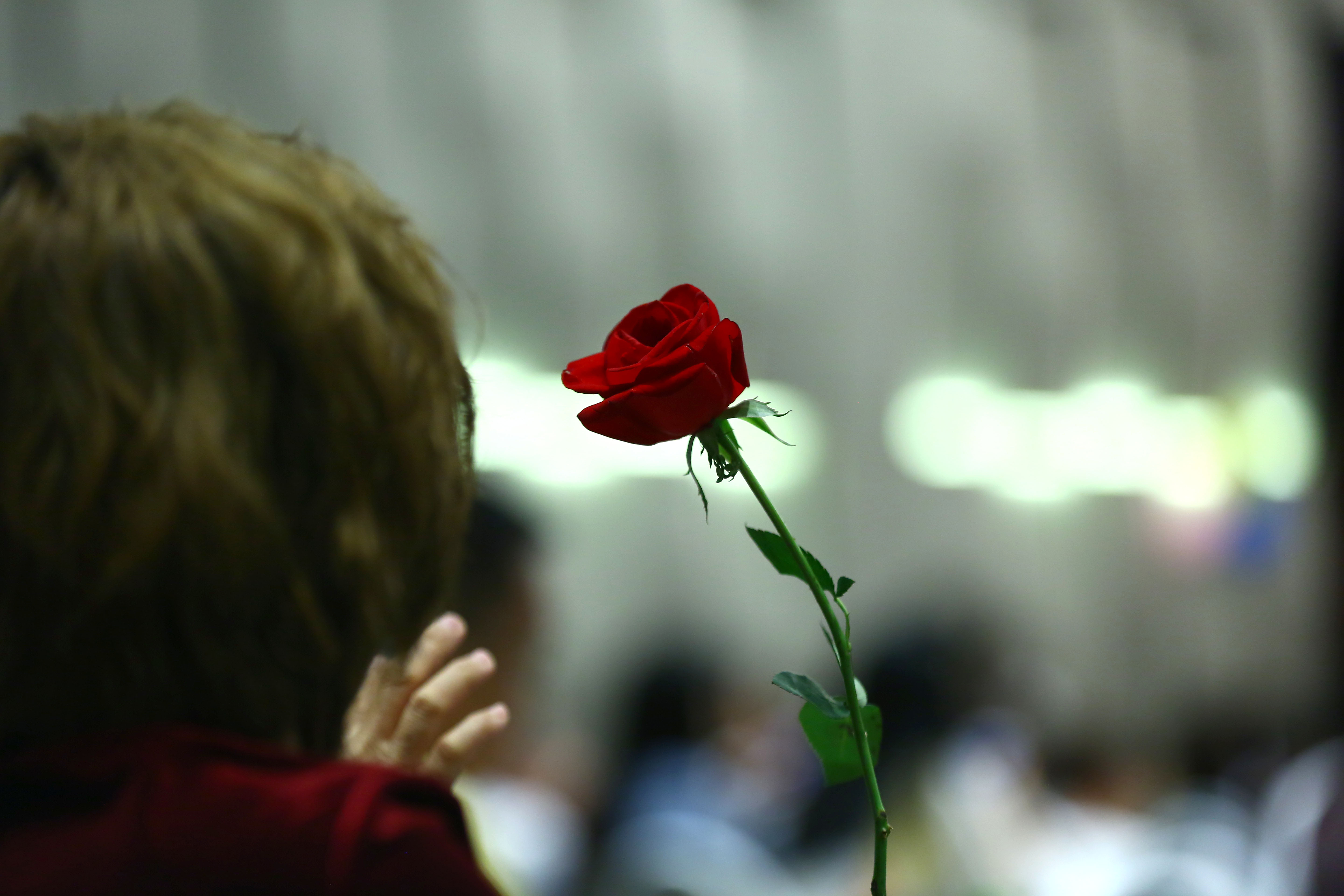 內政部臉書粉專小編為了情人節的「單身狗們」，特地準備〈歷史上的今天＆冷知識分享〉。（東方IC）