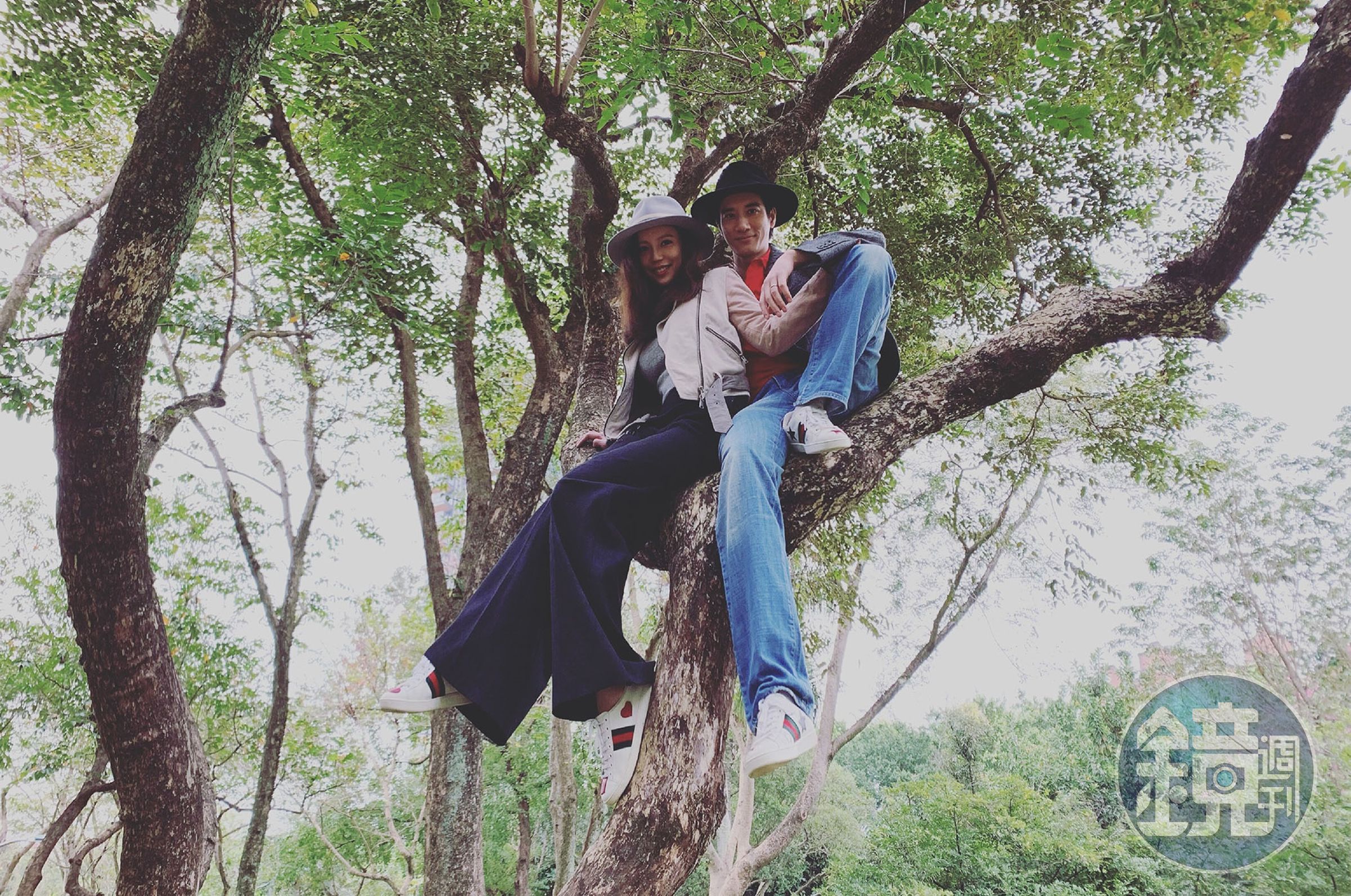 王力宏PO出跟老婆李靚蕾在大安森林公園爬樹的照片送上情人節祝福。（宏聲音樂提供）